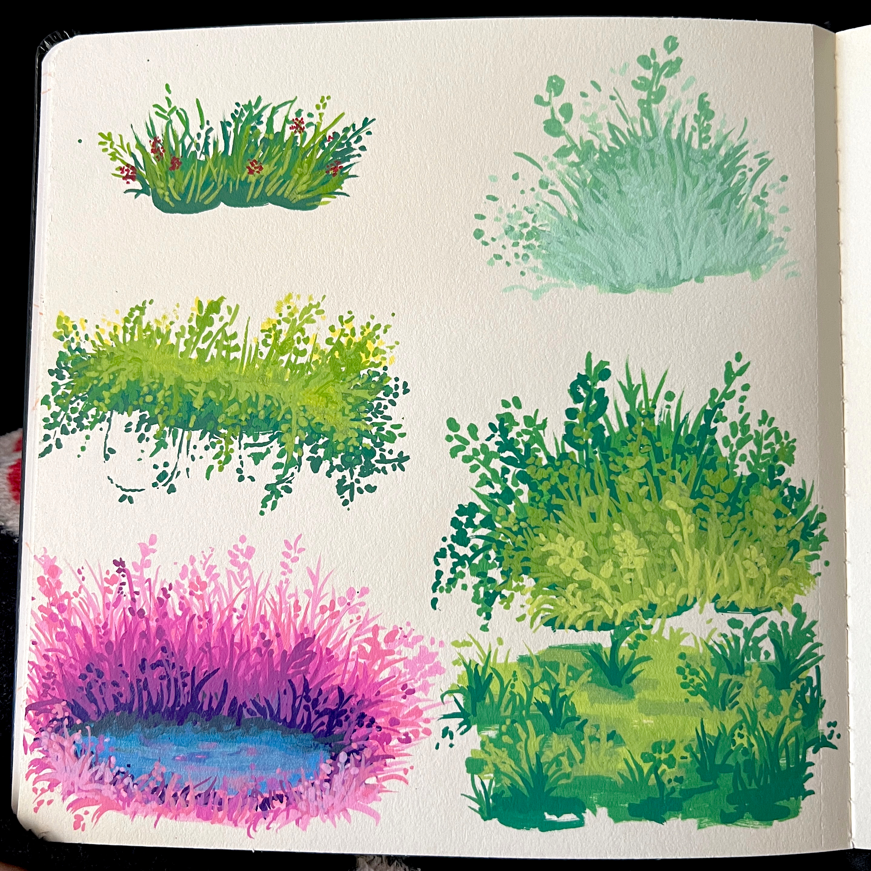 Grass AM Sketches.jpeg169