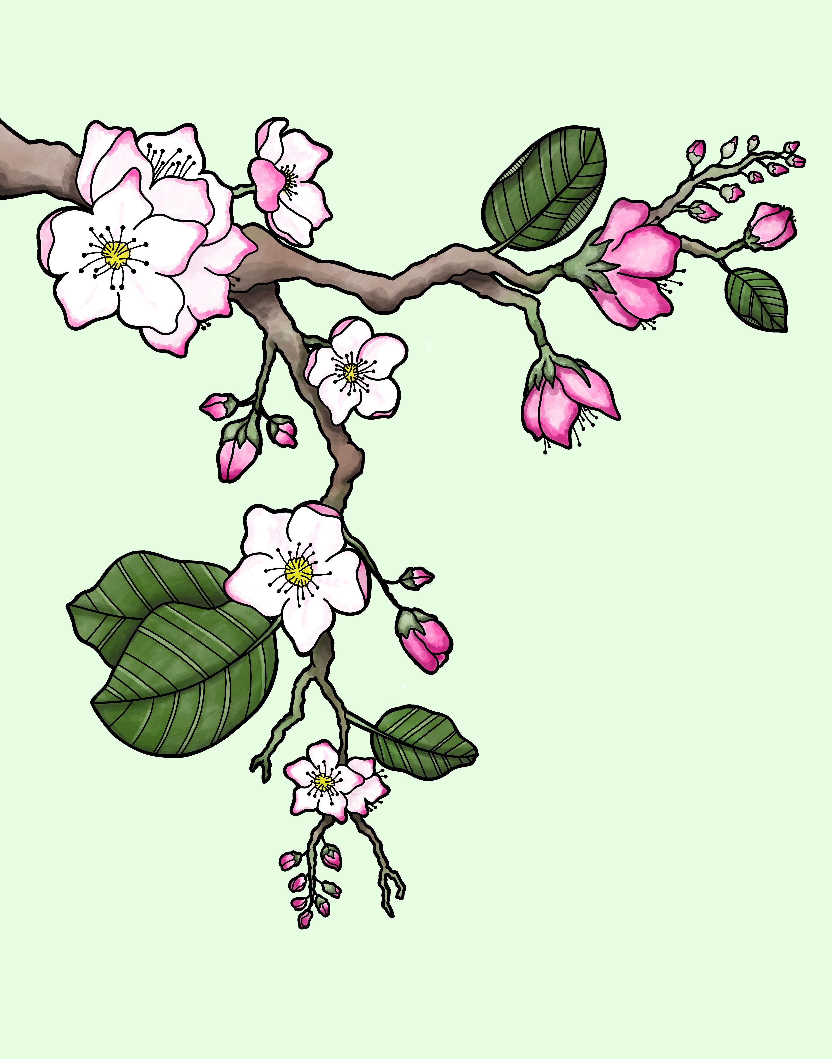 Apple Blossoms Digi.jpg