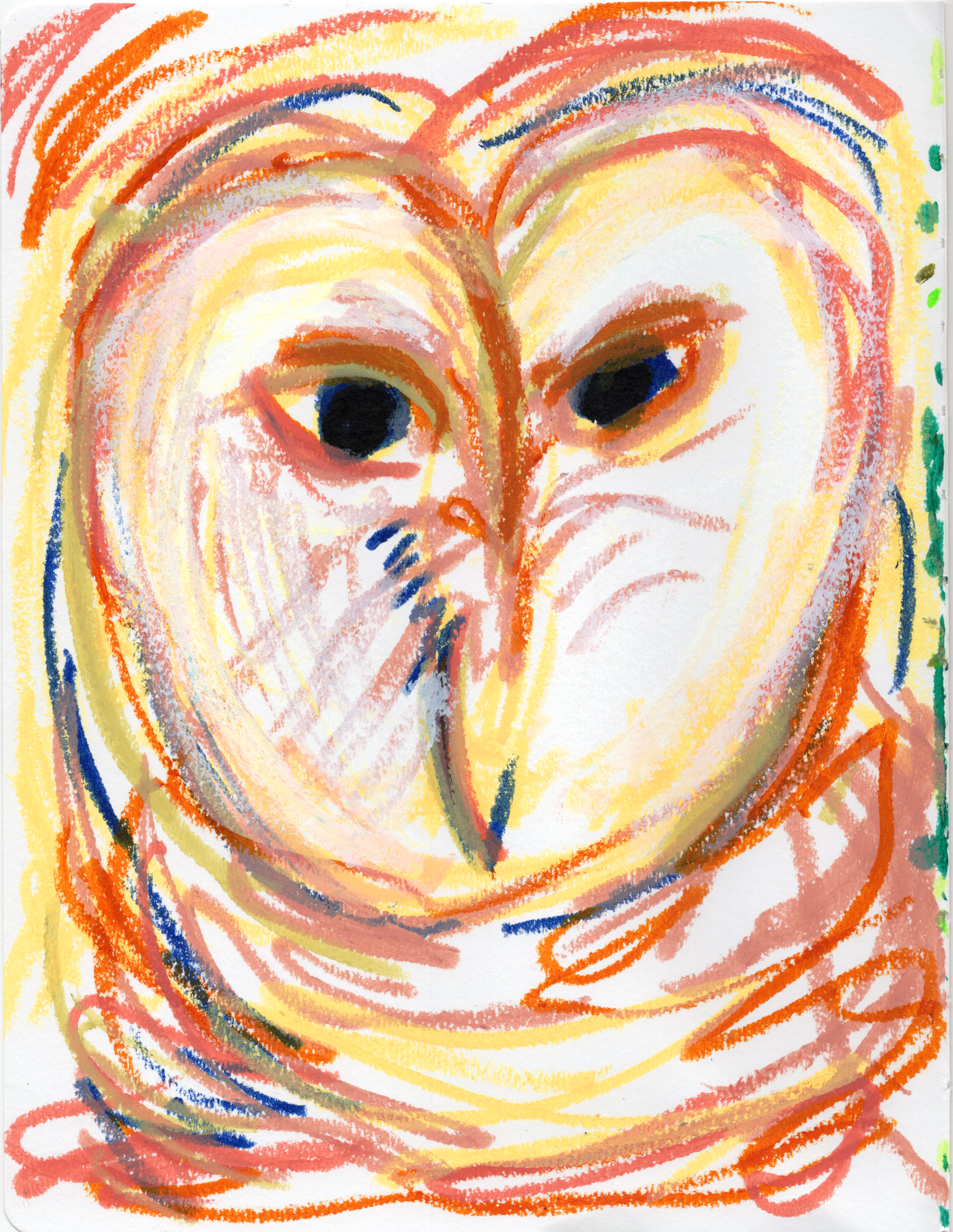 Barn Owl 300.jpg500
