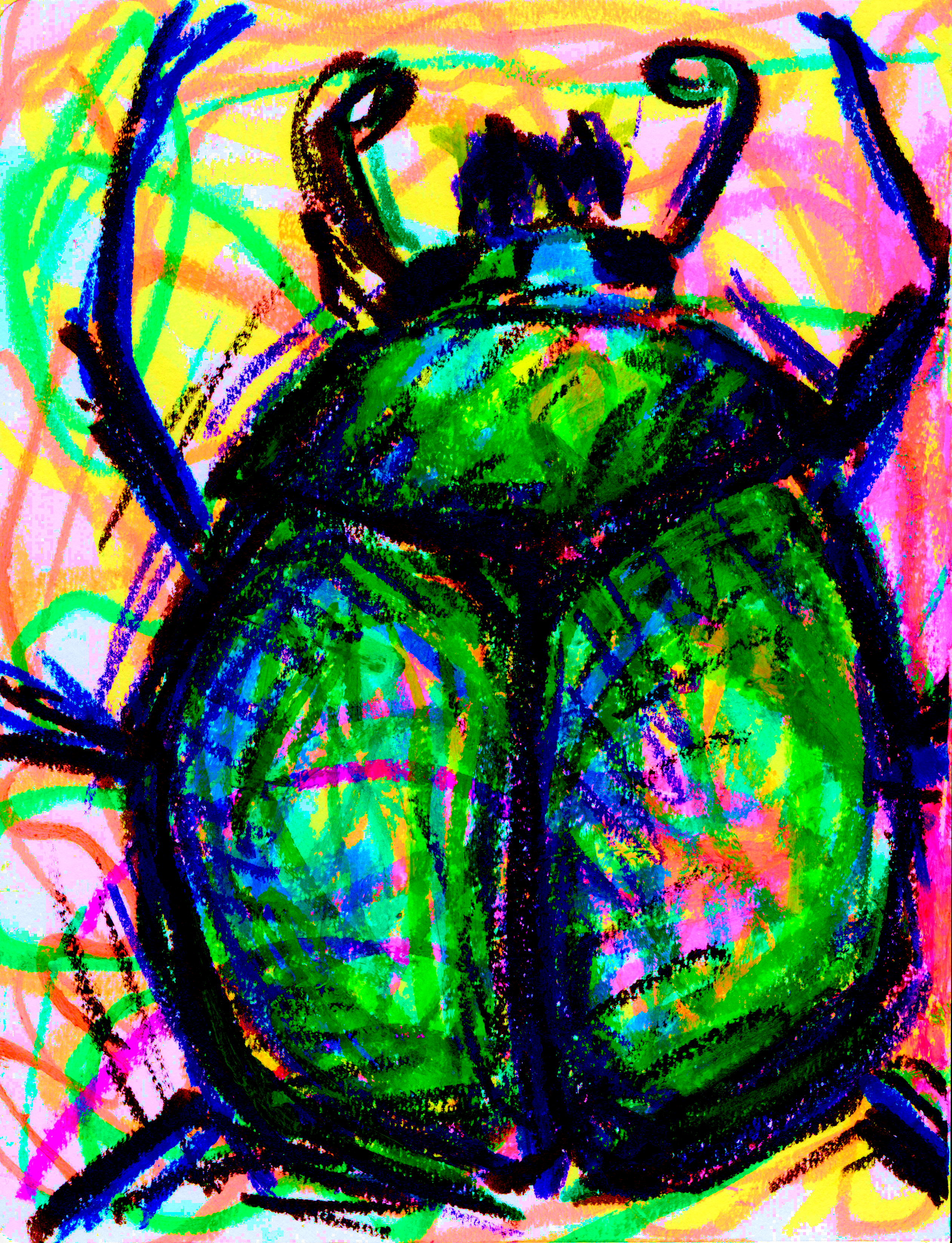 Beetle 300.jpg500