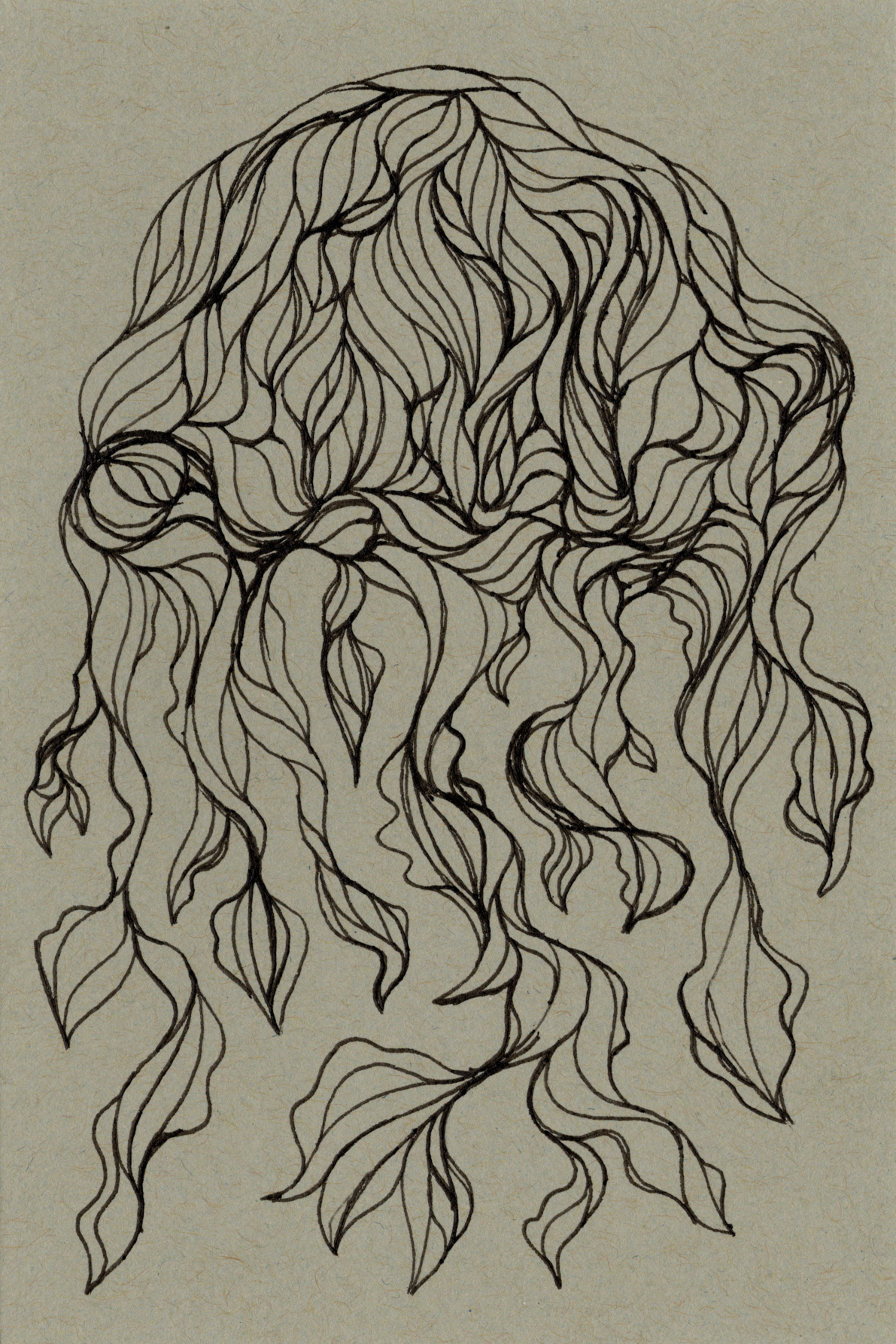 Jellyfish 300.jpg150