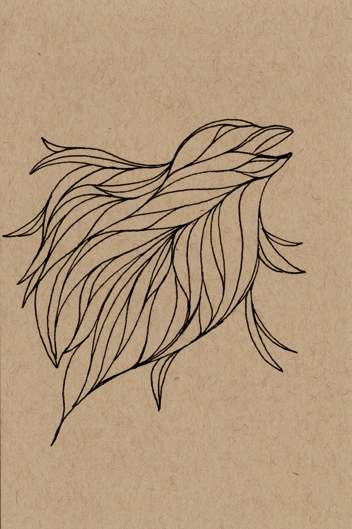 Joy Sparrow 300.jpg150