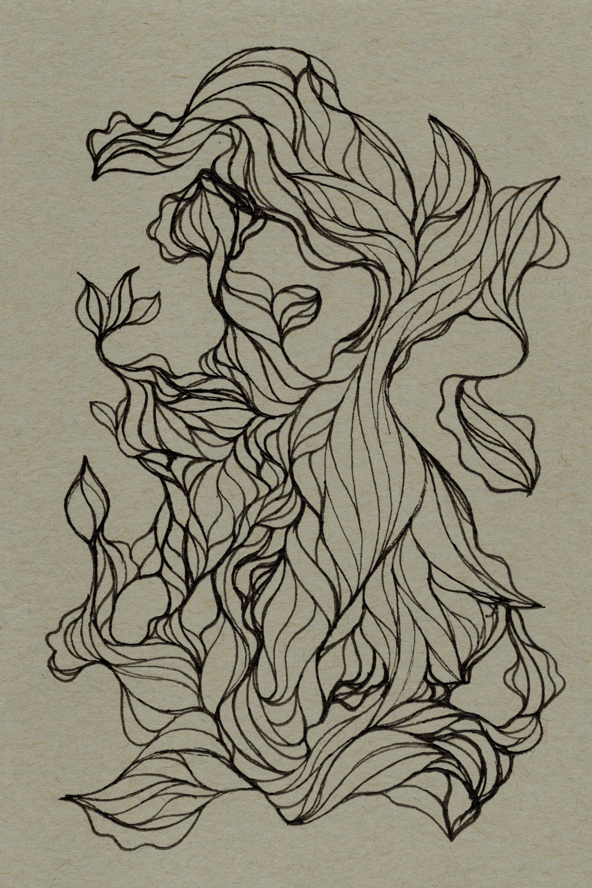 Root Tree 300.jpg150