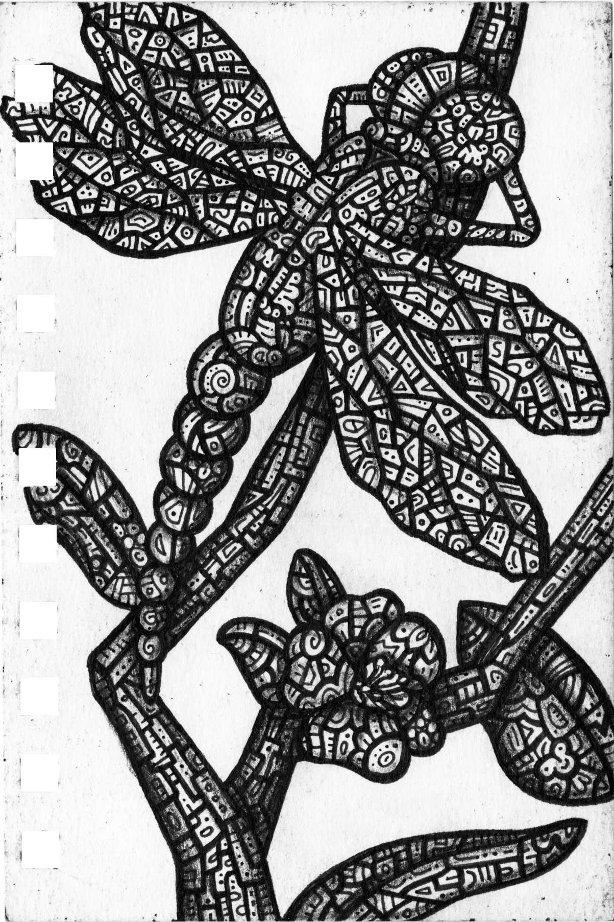 Photos/Brain Album Finished Pieces/Dragonfly 300.png