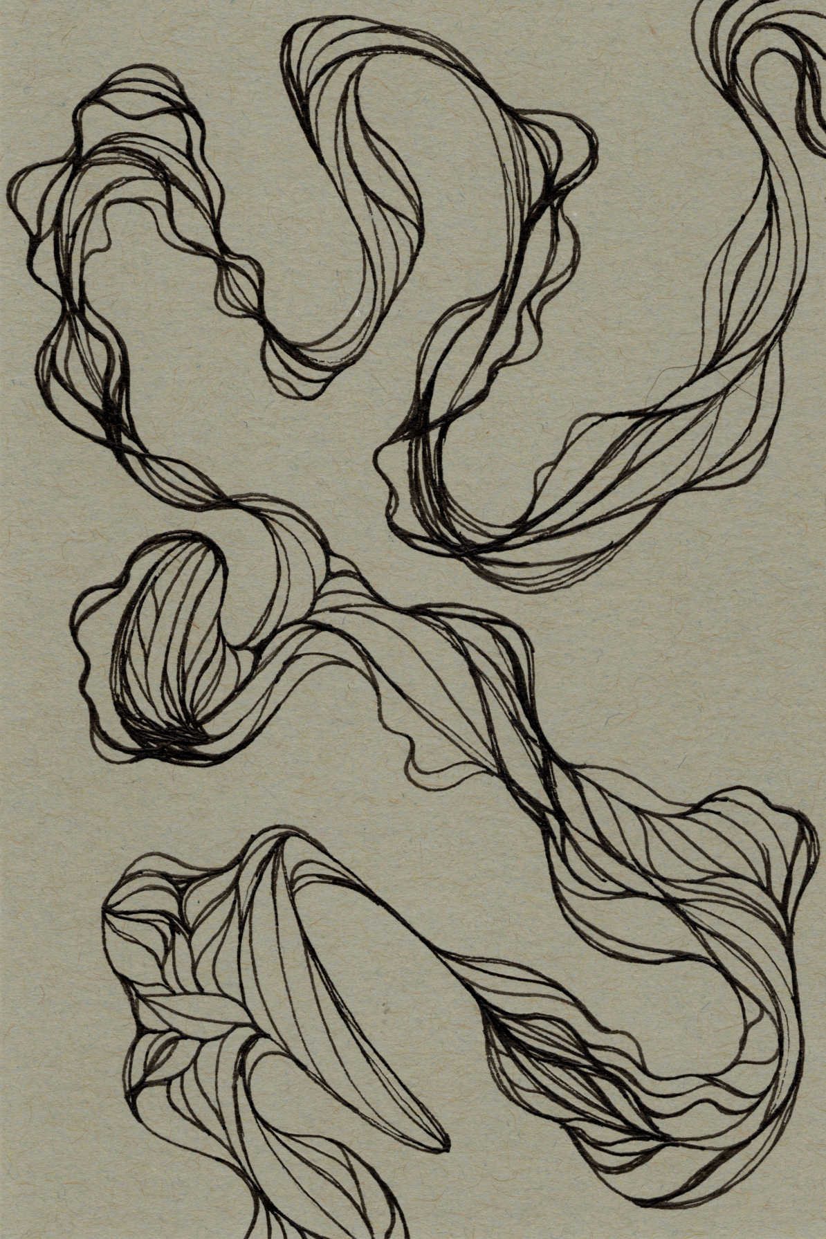 Photos/Brain Album Finished Pieces/Ribbon 300.jpg150