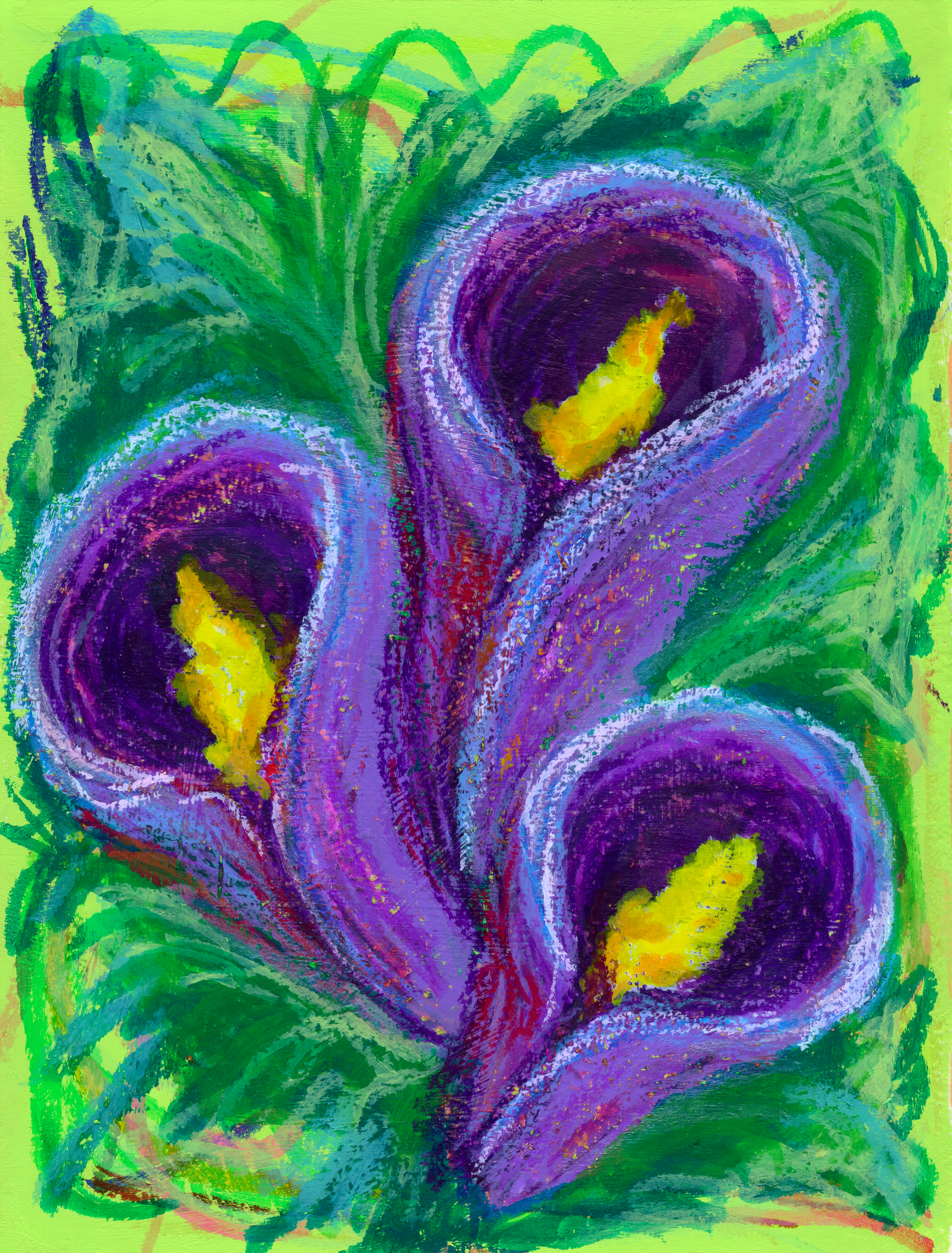 Calla Lillies SB 300.jpg300