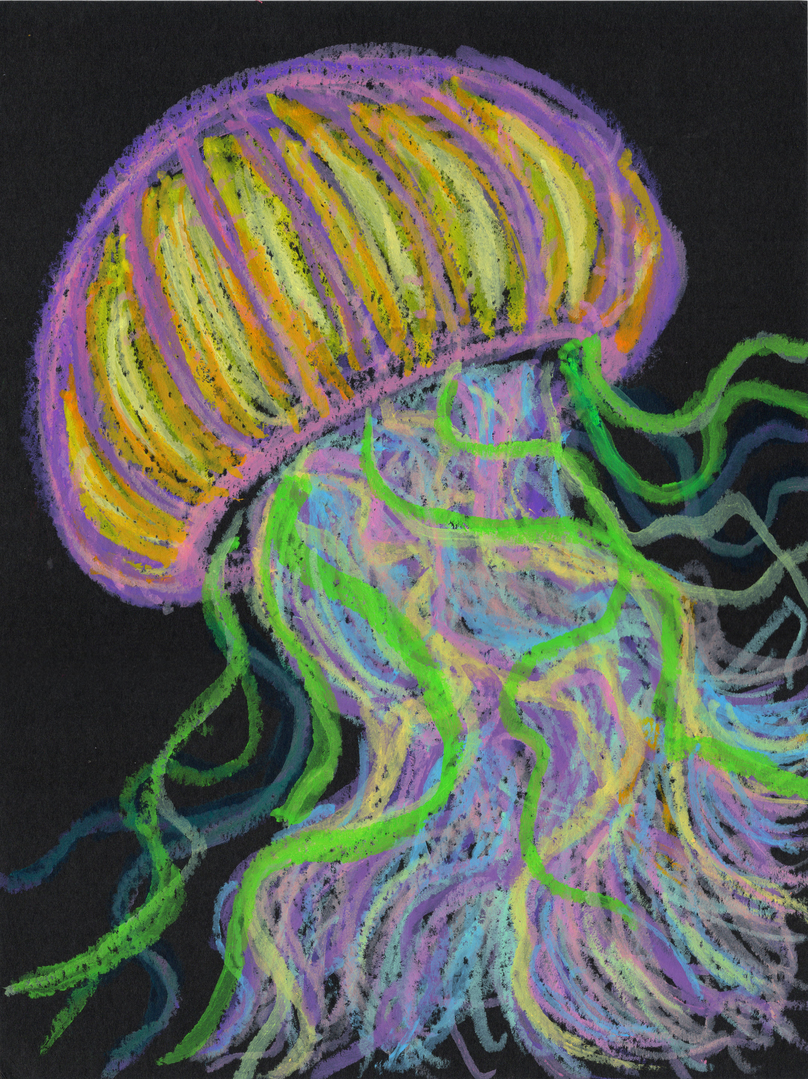 Colorful Jellyish 300.jpg500