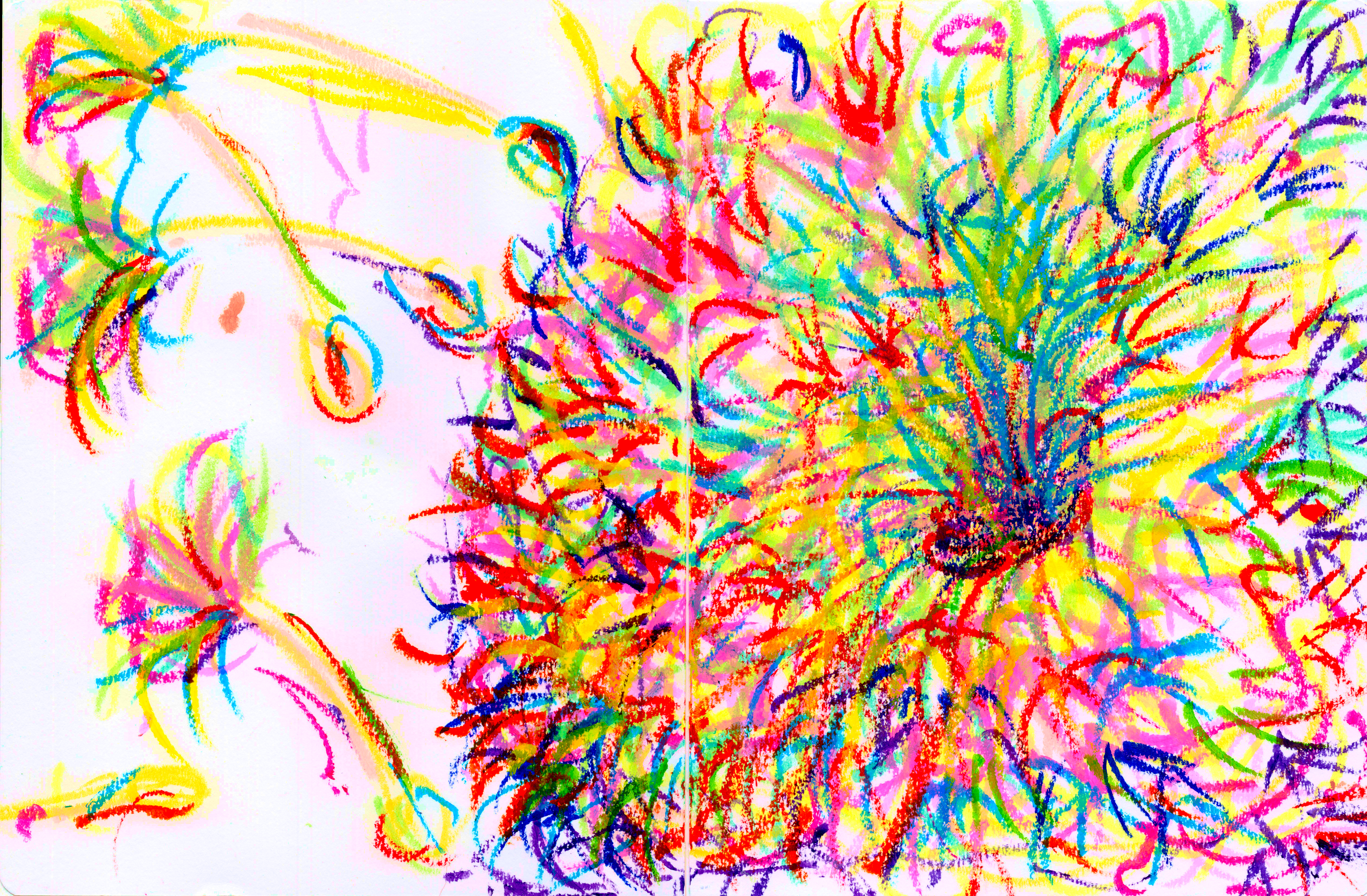 Dandelion 300.jpg700