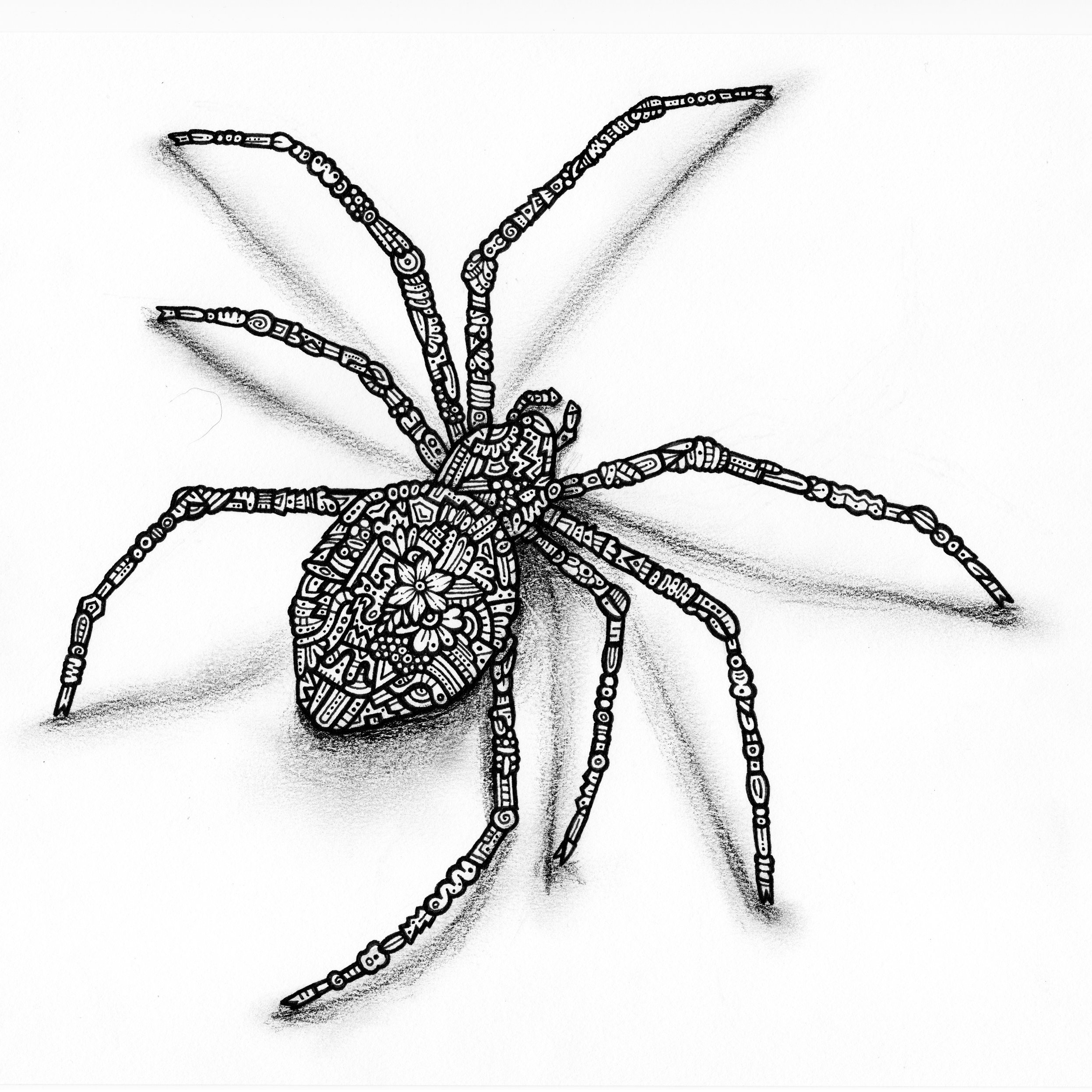 Doodle Spider 300.jpg