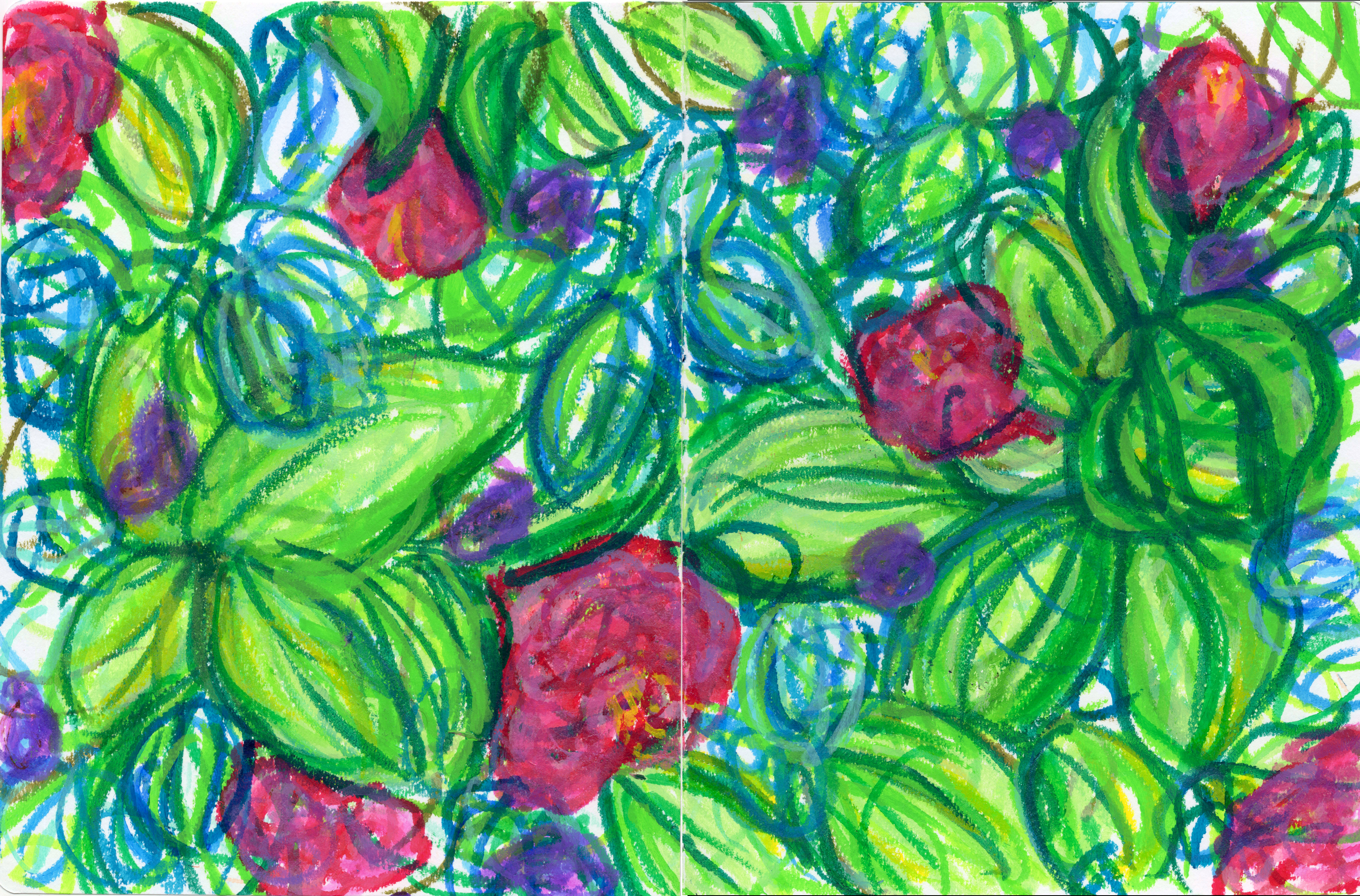 Flower Bush 300.jpg700