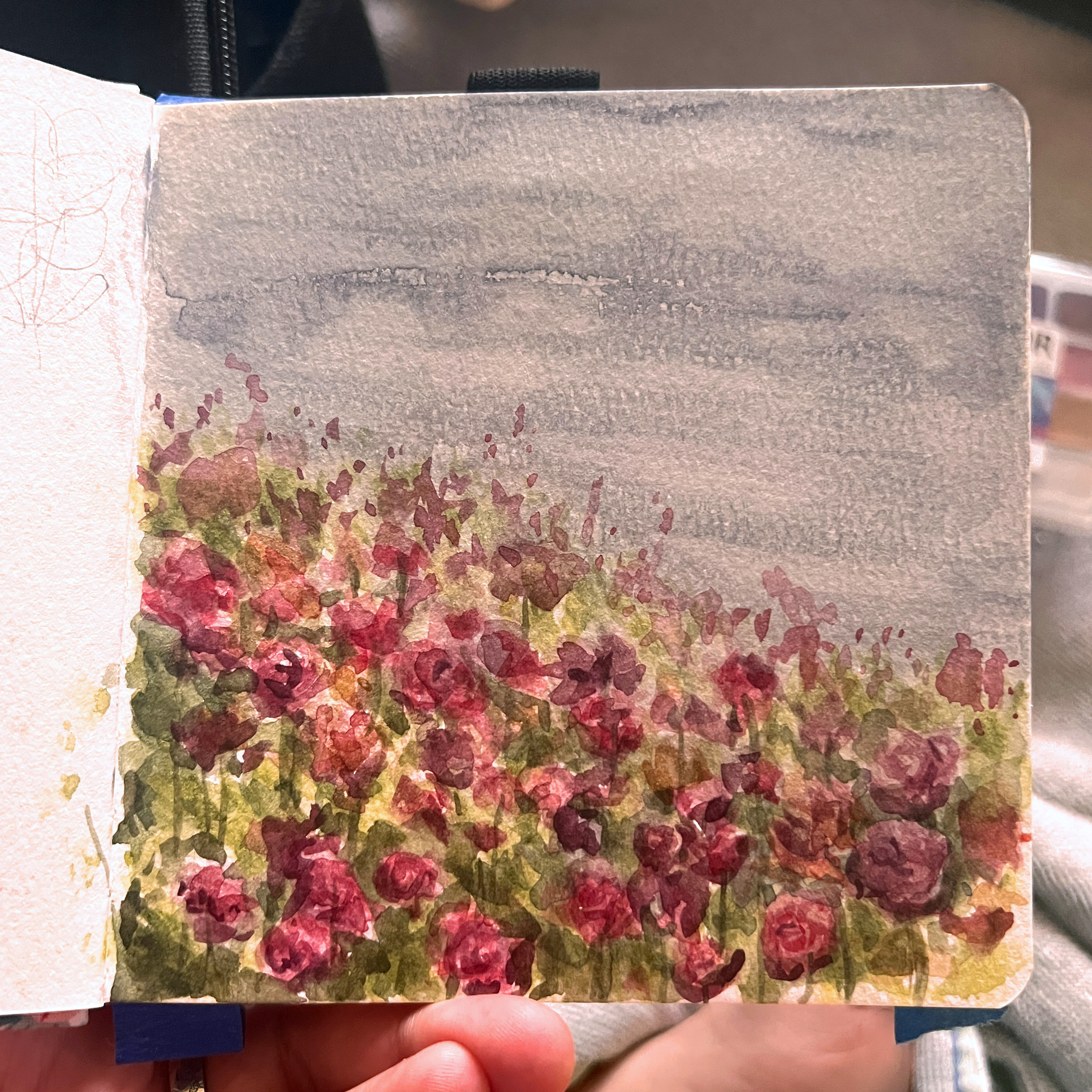 Flower Field.jpeg