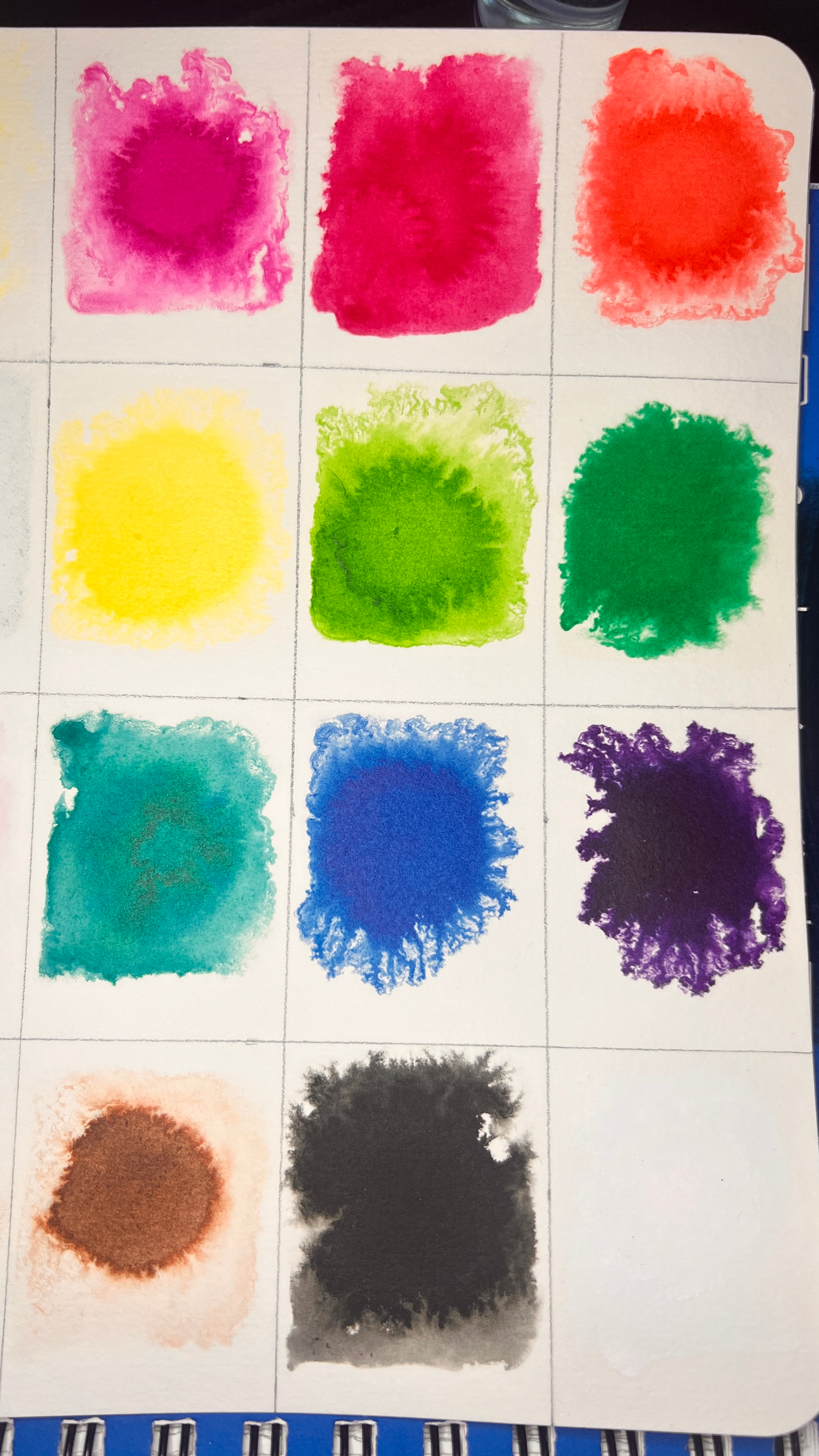 IndiaInksBloom.jpg300