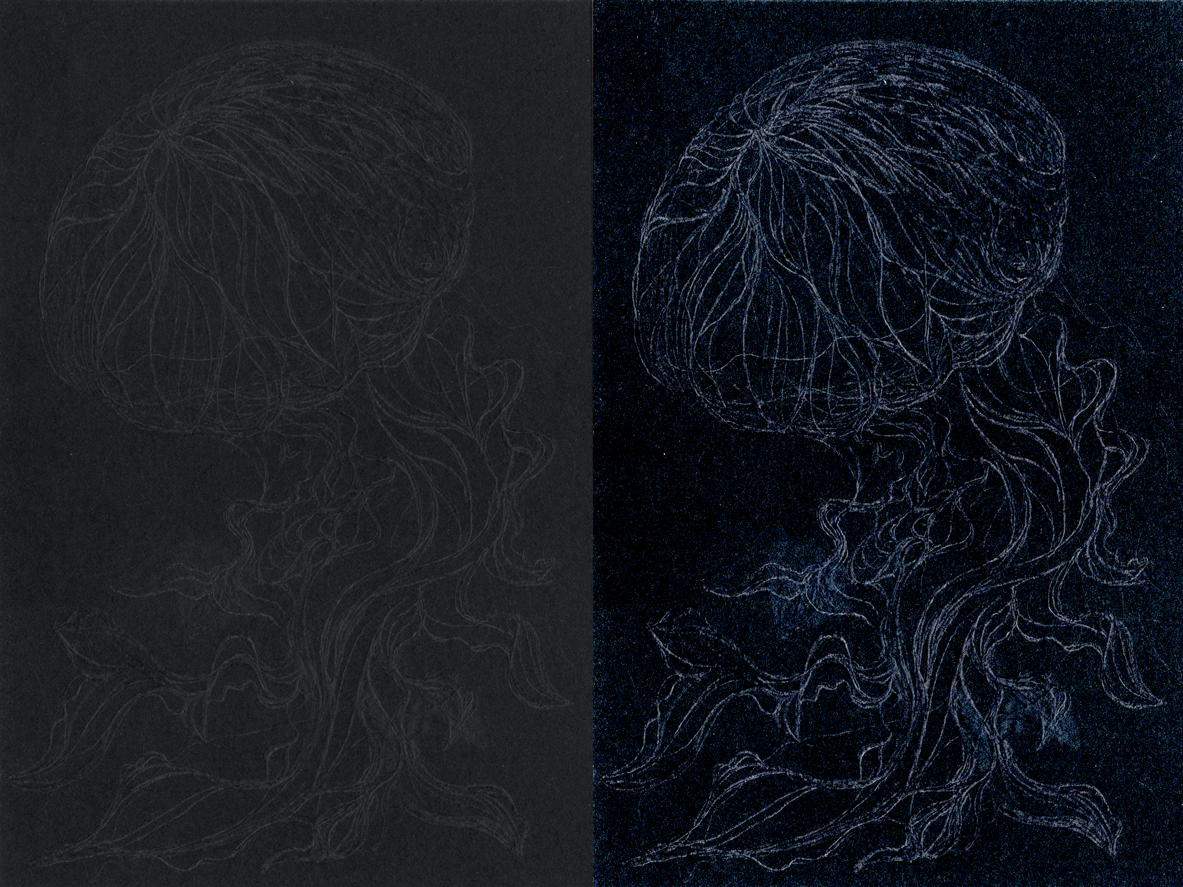 Photos/Jellyfish Undersea Contrast 300.jpg