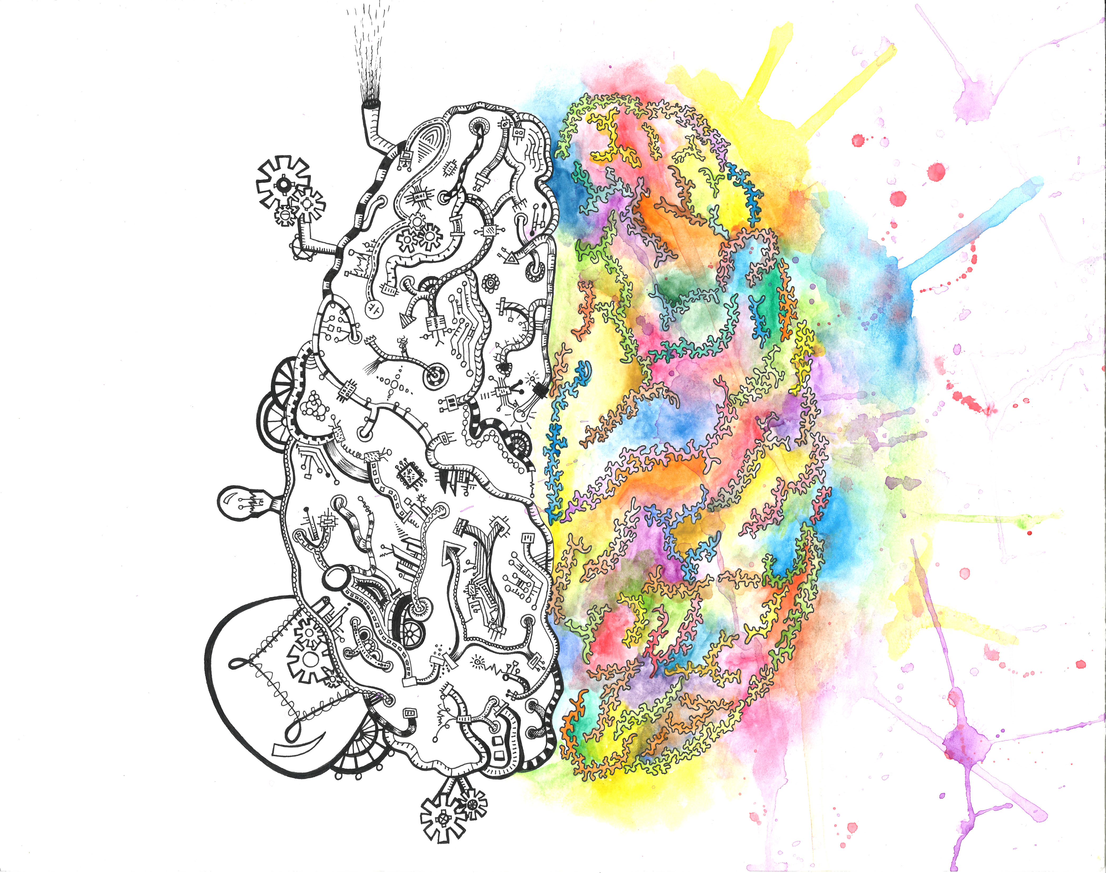 Left and Right Brain.jpg