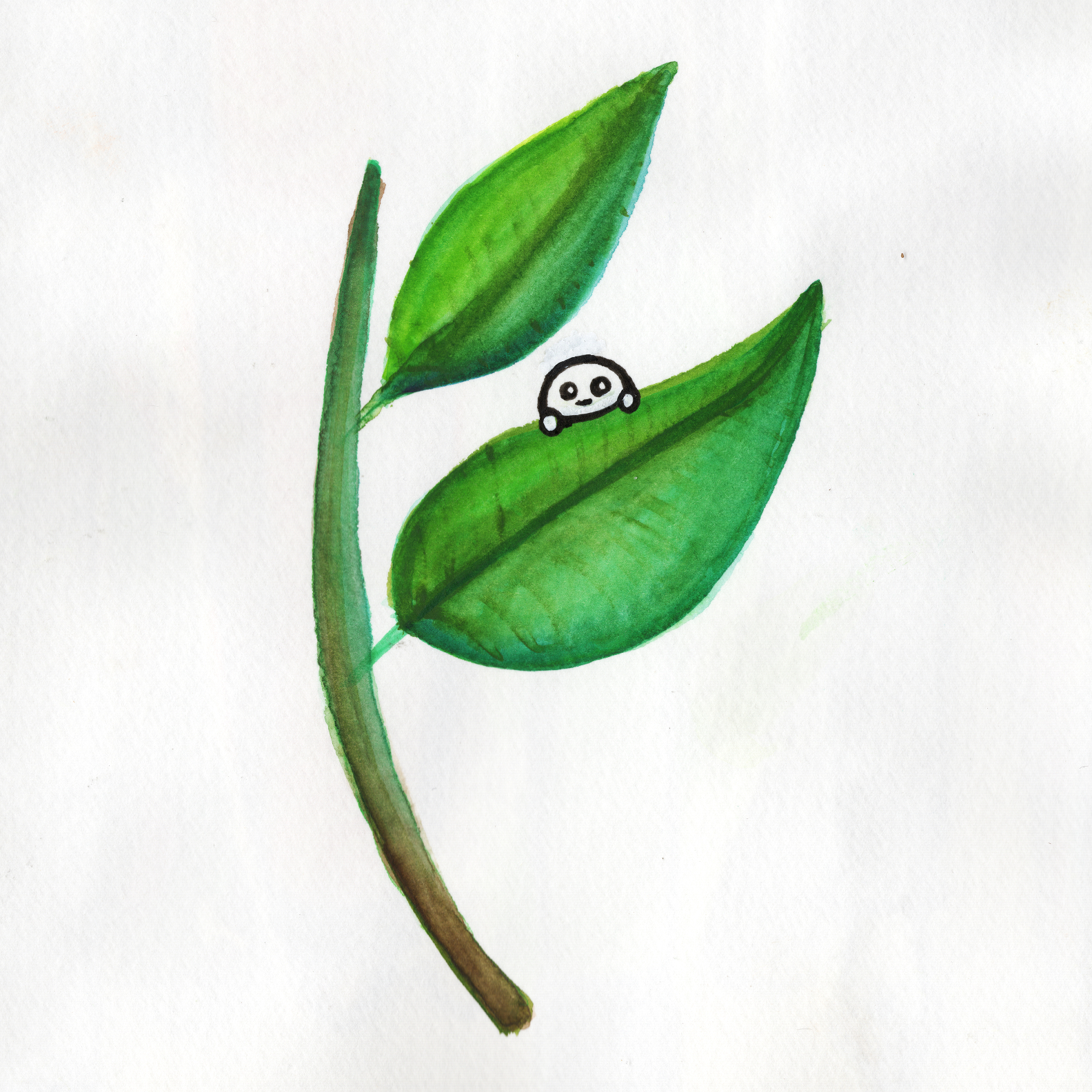 Little Leaf Guy 300.jpg