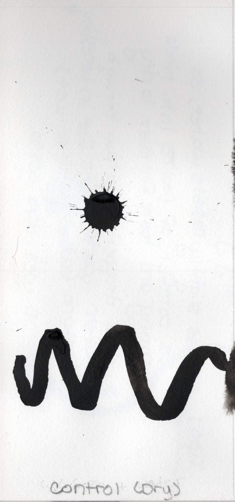 BIIMediaTestBloomControl.jpg|100