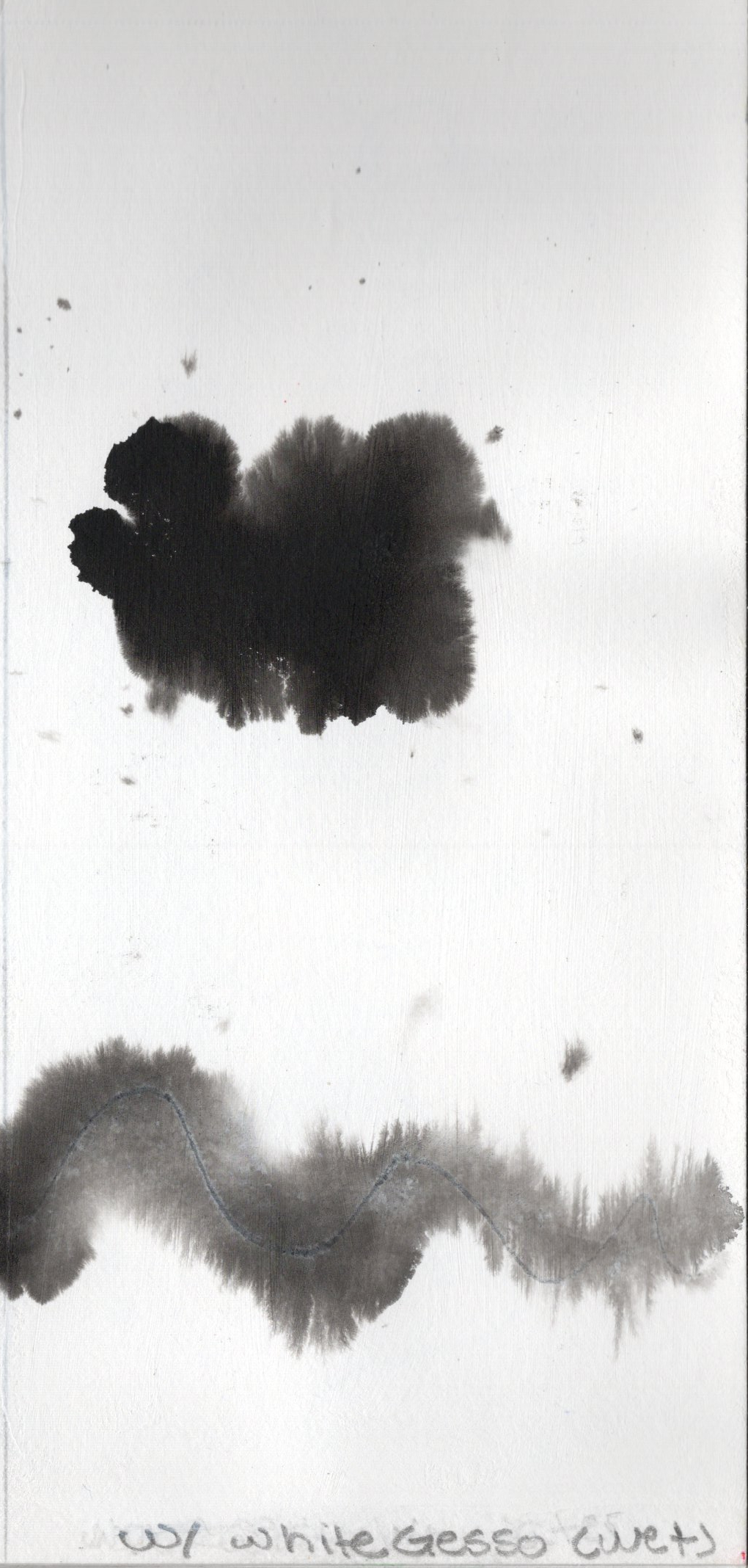 BIIMediaTestBloomGesso.jpg|100