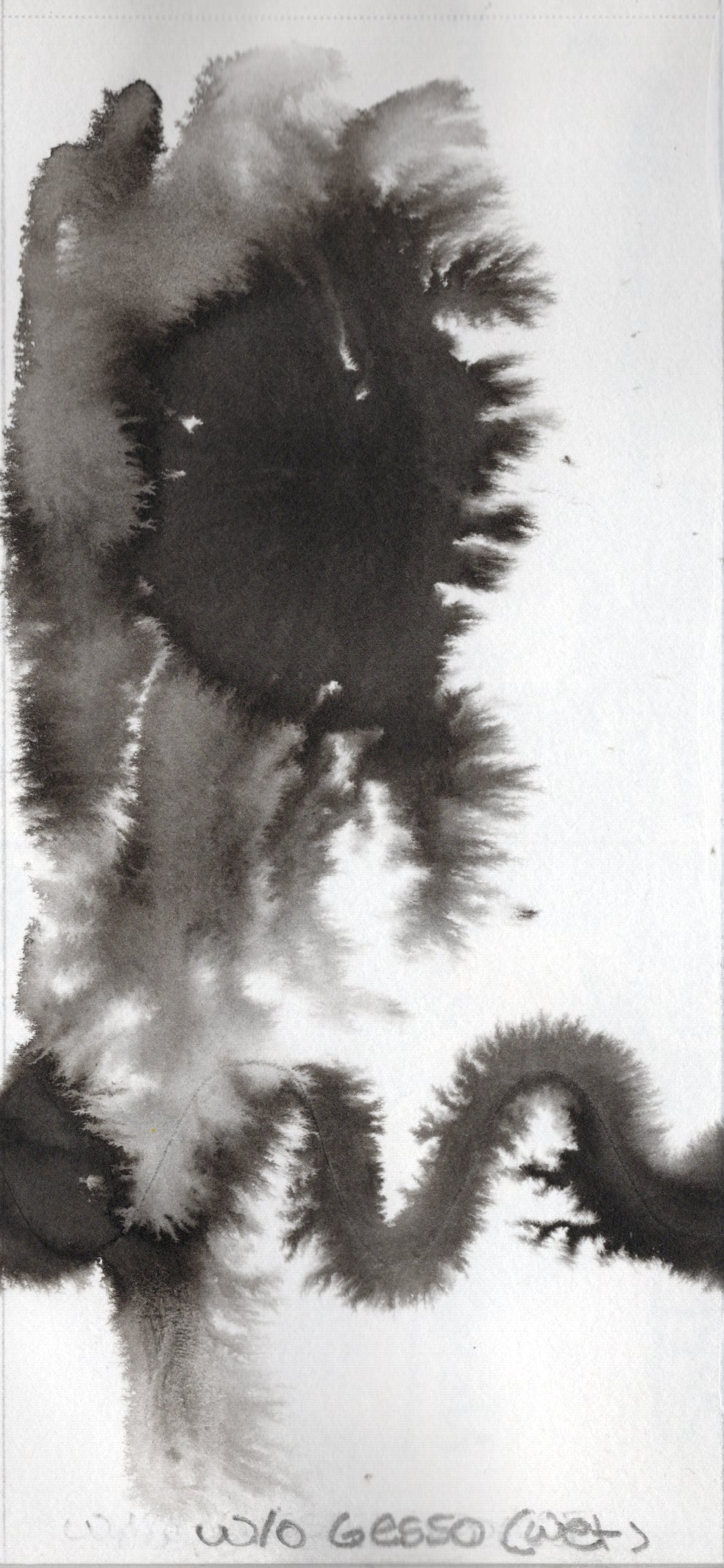 BIIMediaTestBloomNoGesso.jpg|100