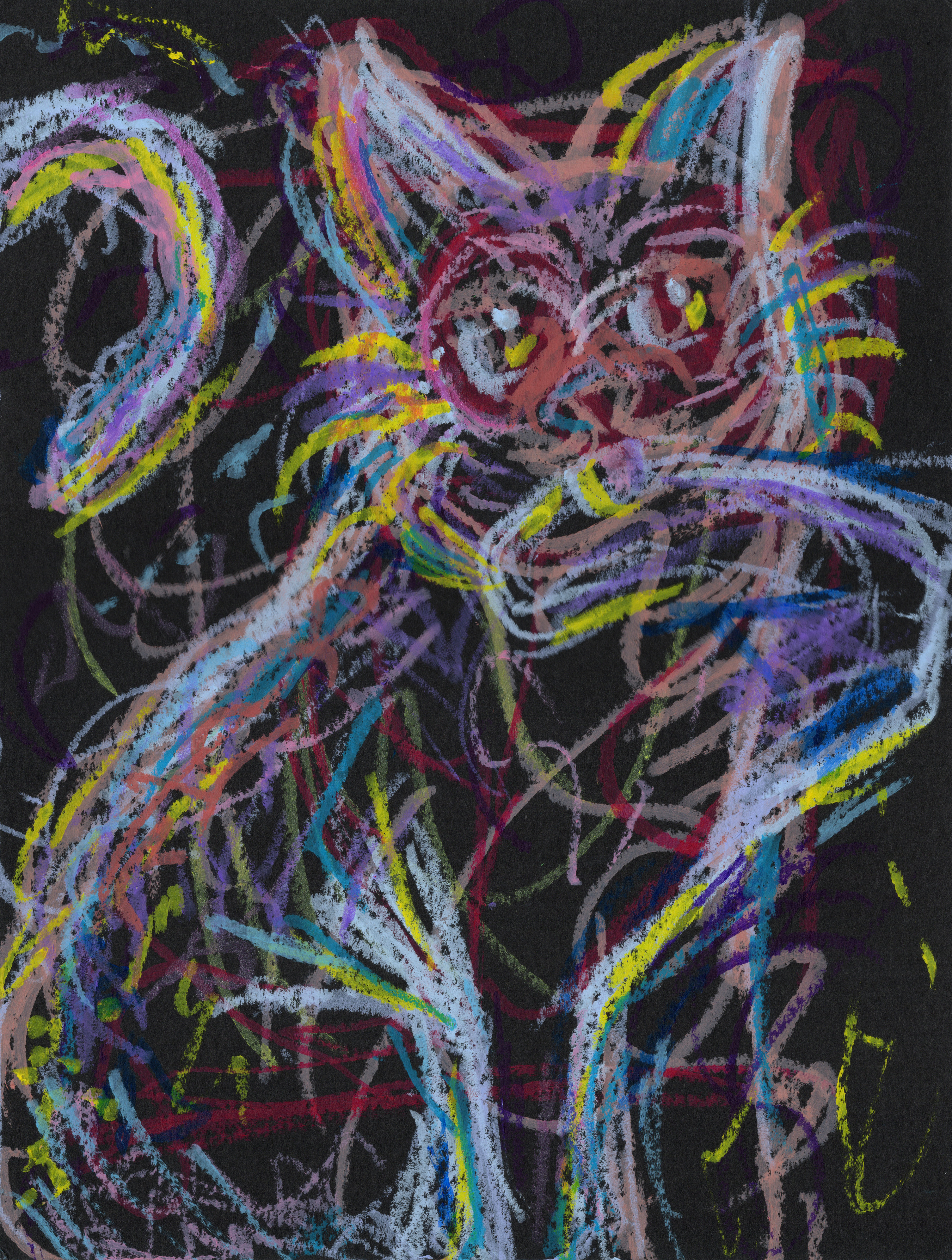 Moving Cat 300.jpg500