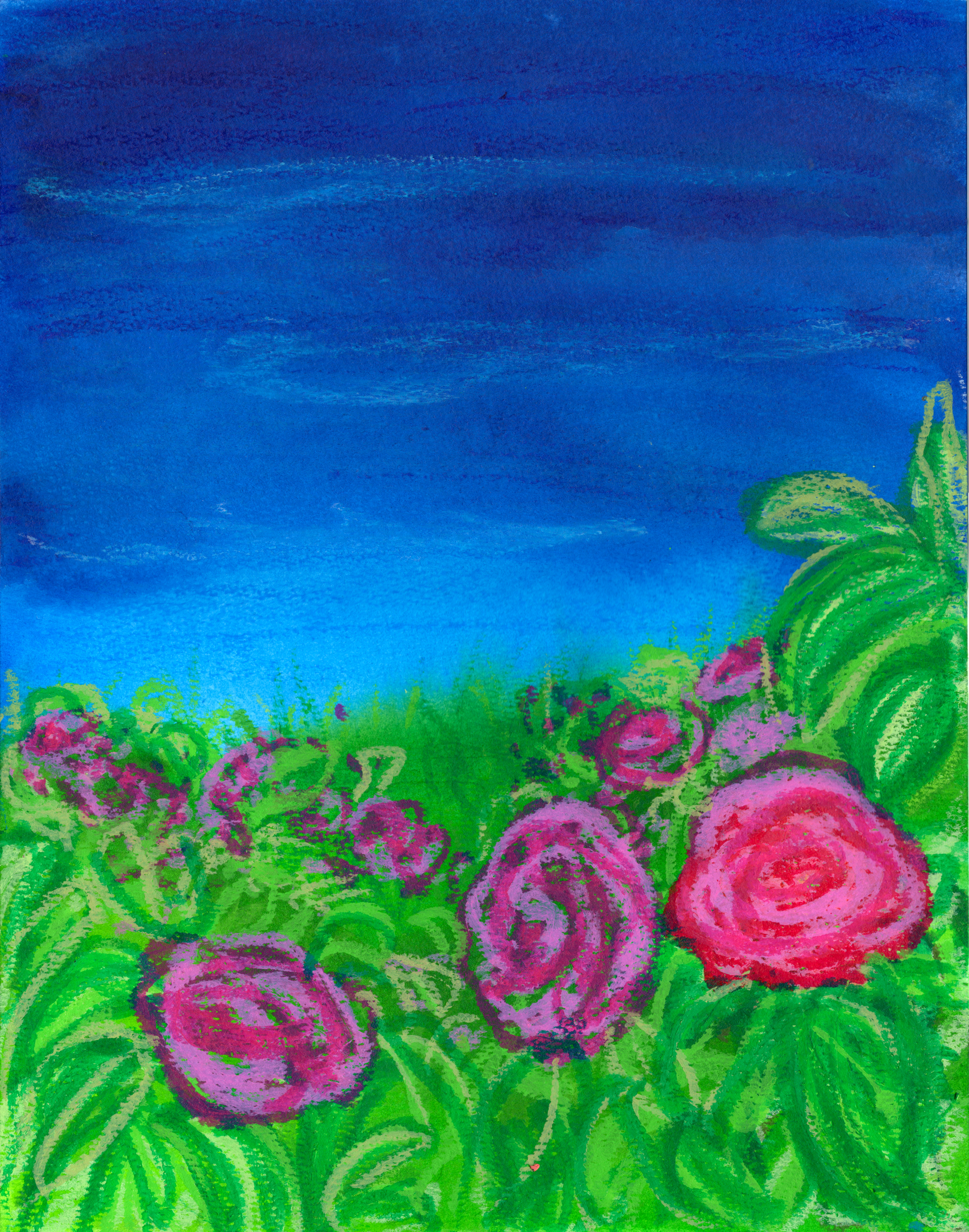 Rose Garden 300.jpg500