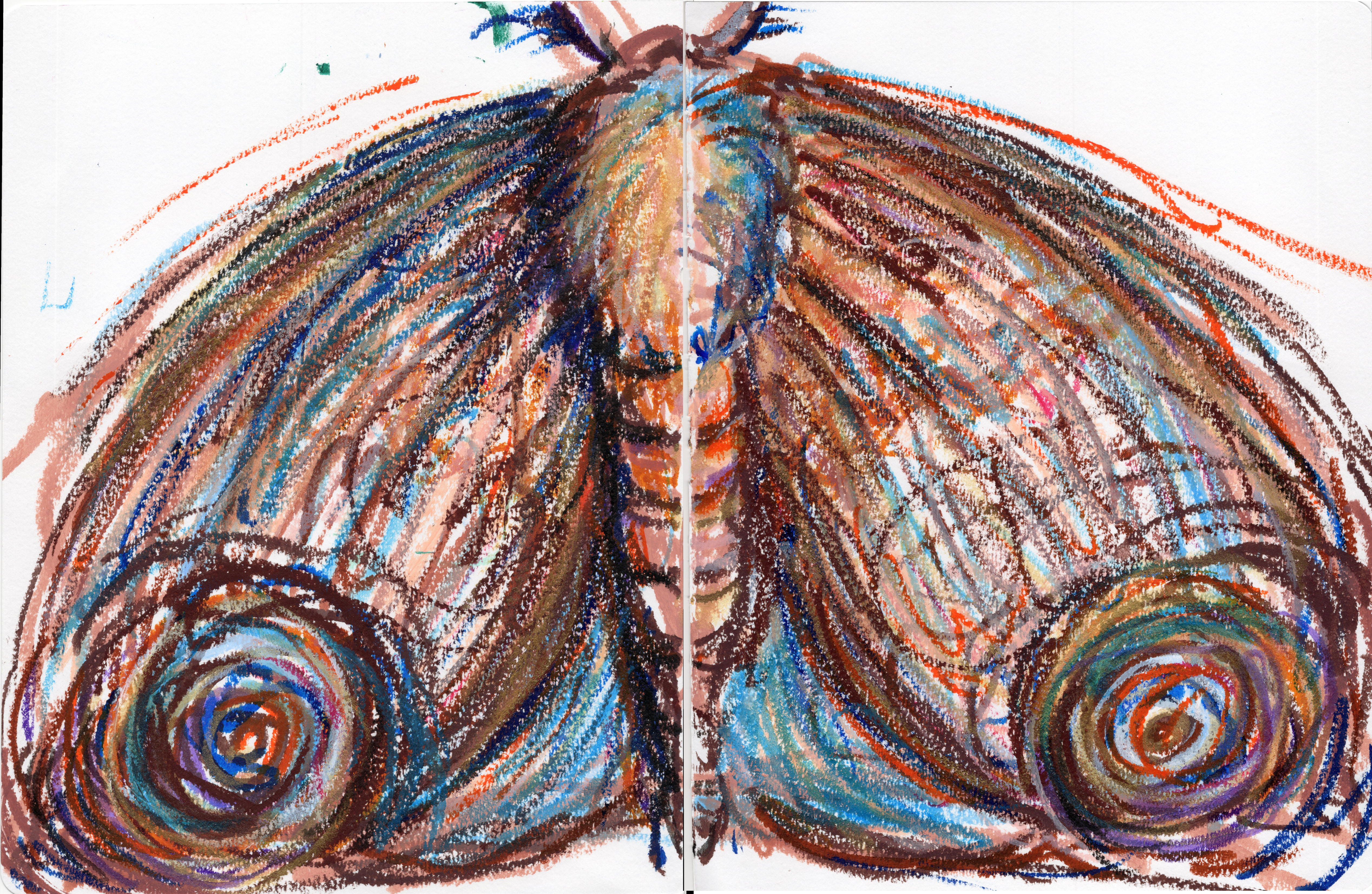 Shiny Moth 300.jpg700