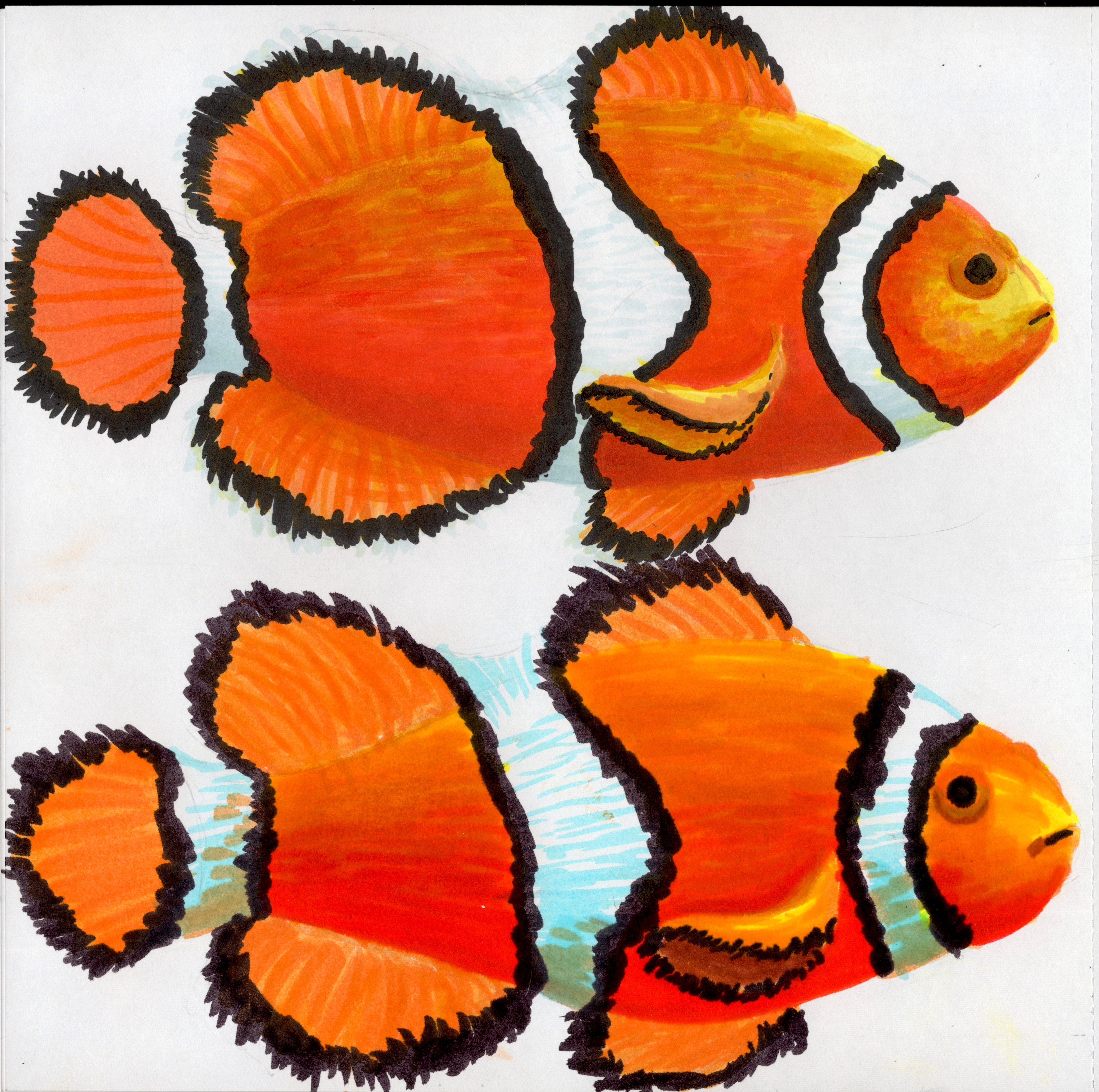 Alc Vs Wat Fishes SB 300.jpg315