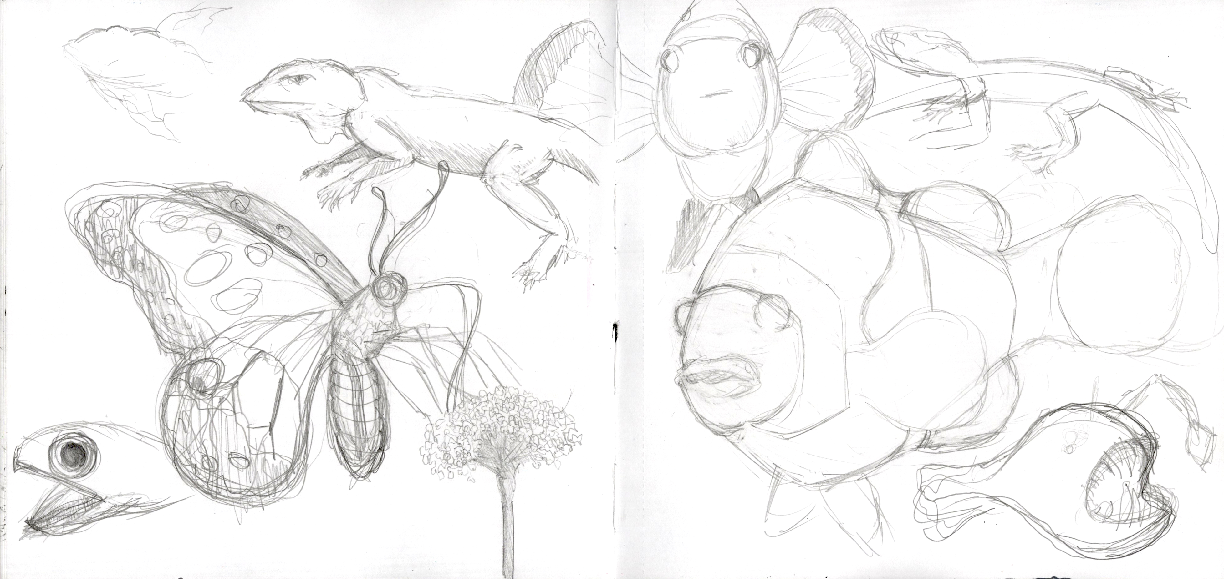 Animal Sketches SB 300.jpg