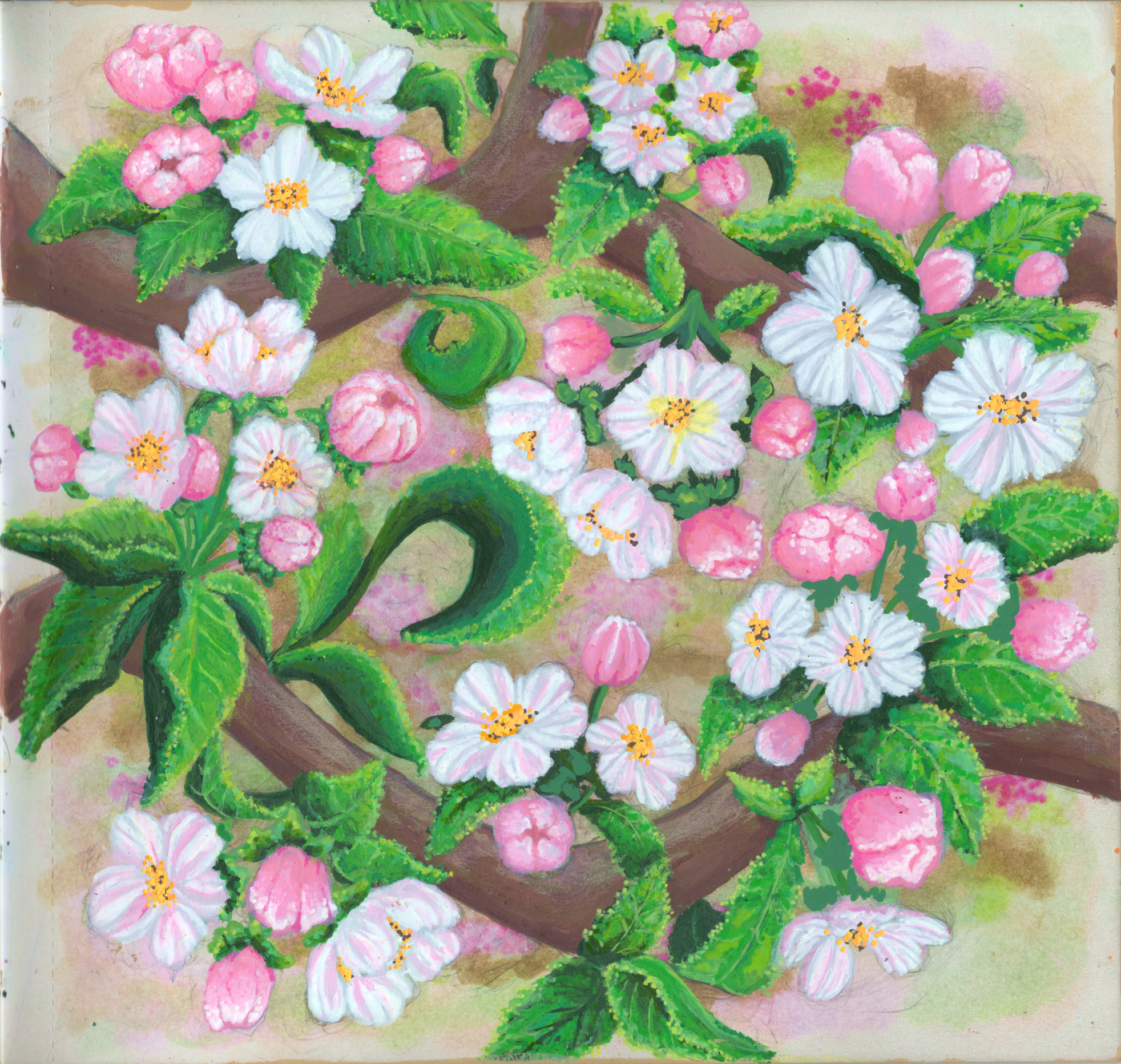 Apple Blossoms SB 300.jpg