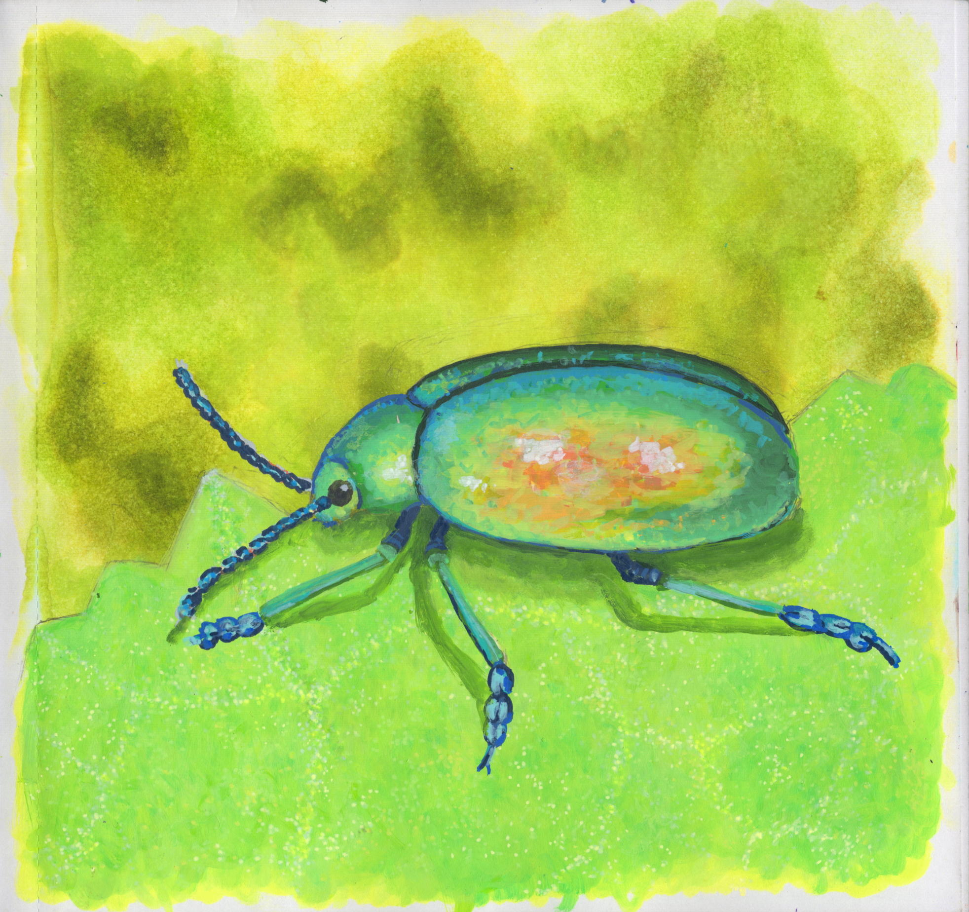 Beetle on Leaf SB 300.jpg