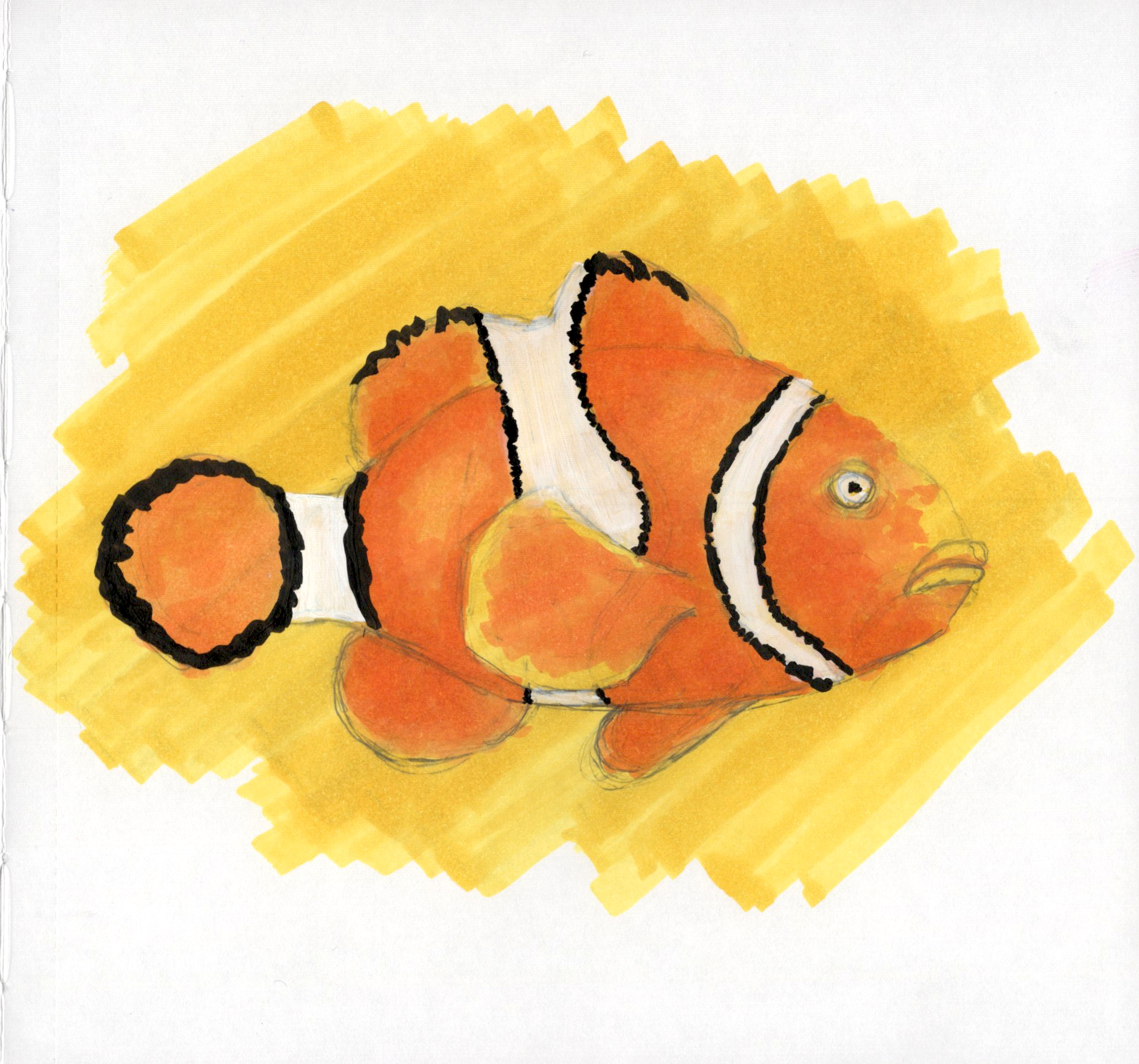 Cartoon Clownfish.jpg