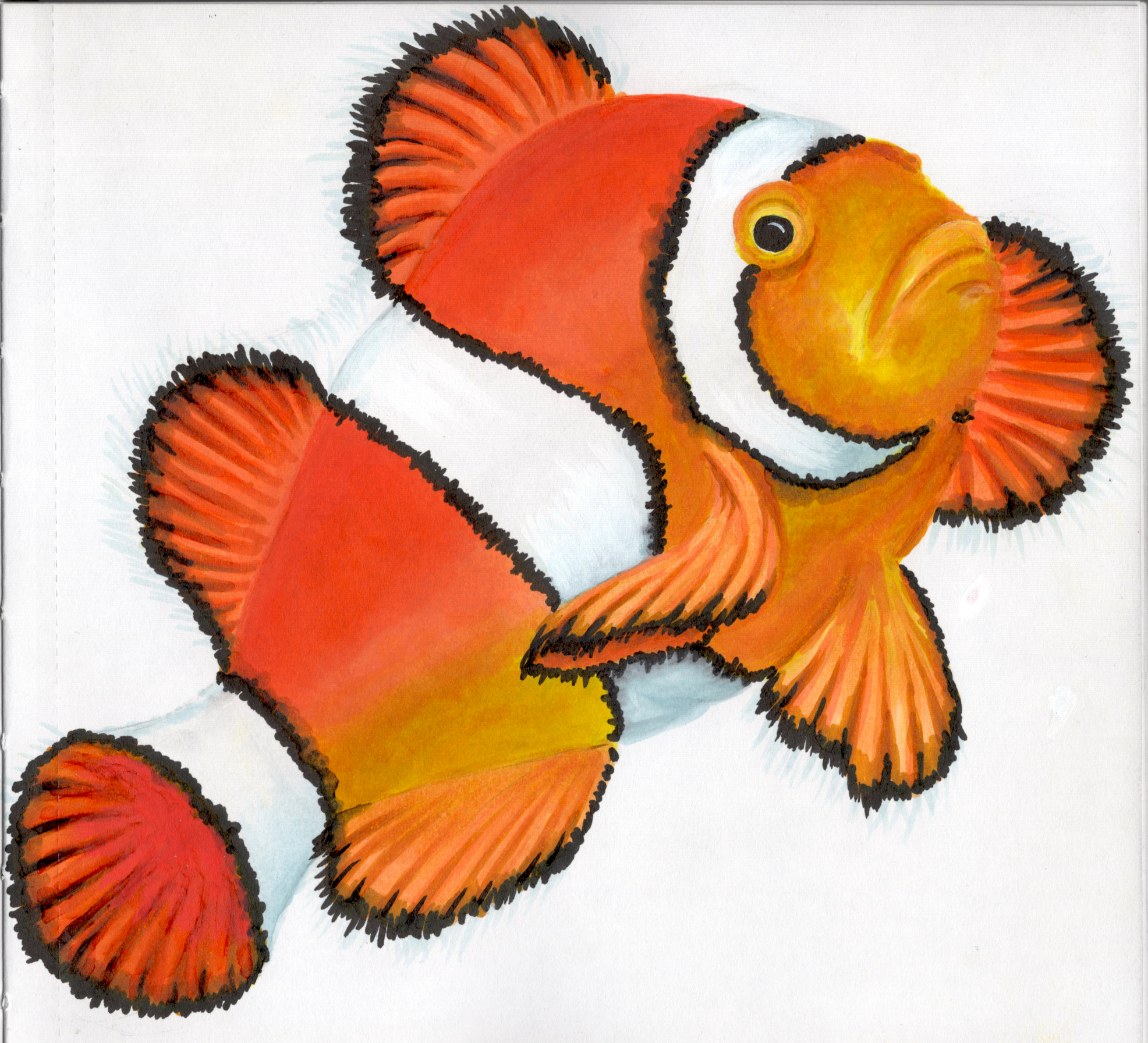 Clown Fish SB 300.jpg