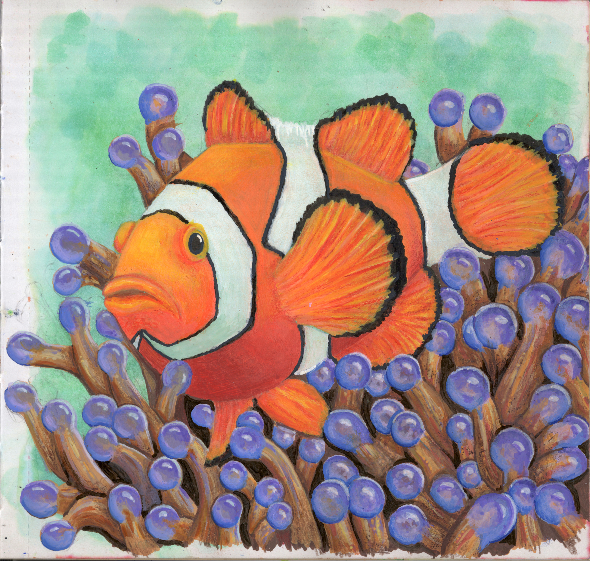 Clownfish At Home SB 300.jpg