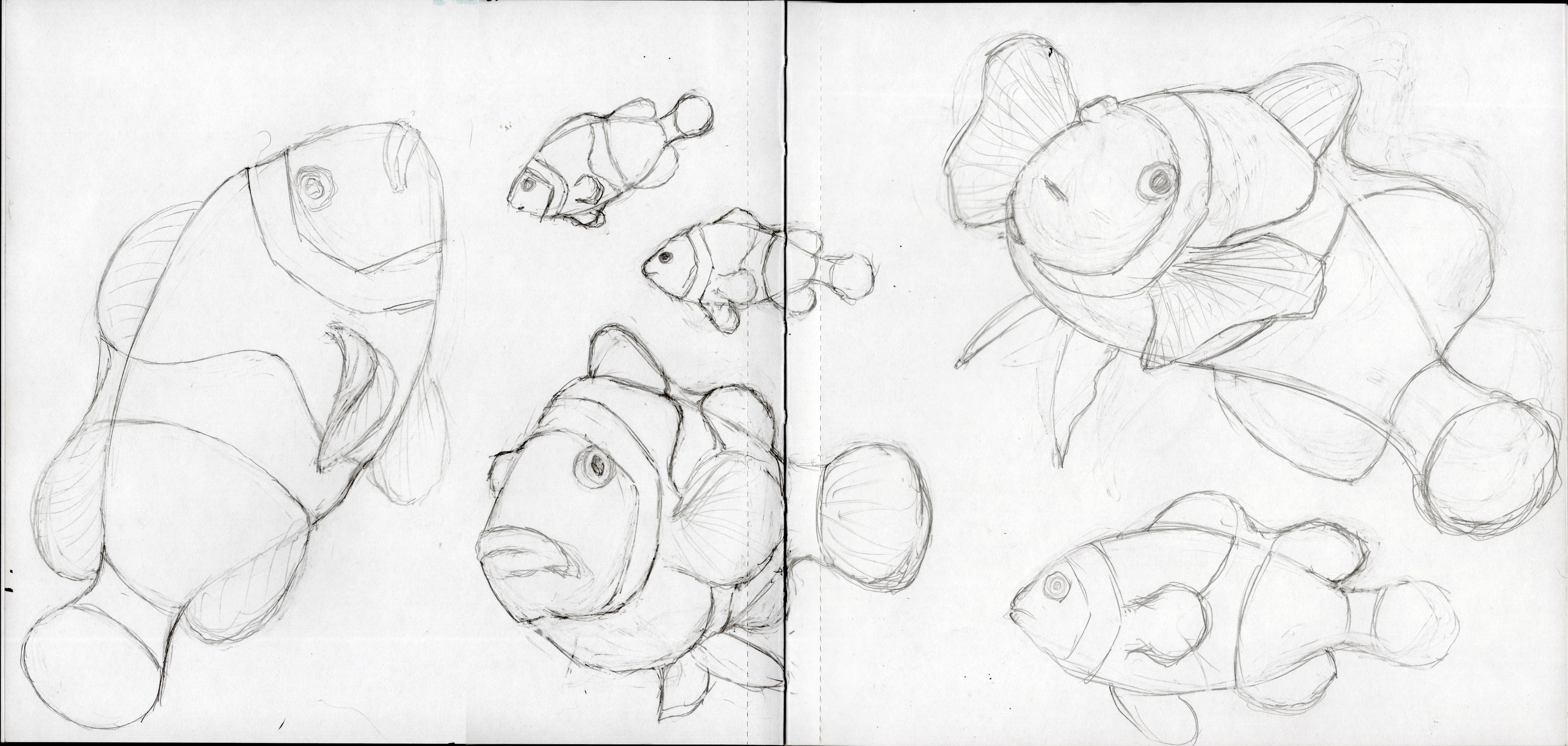 Cownfish Sketches SB 300.jpg