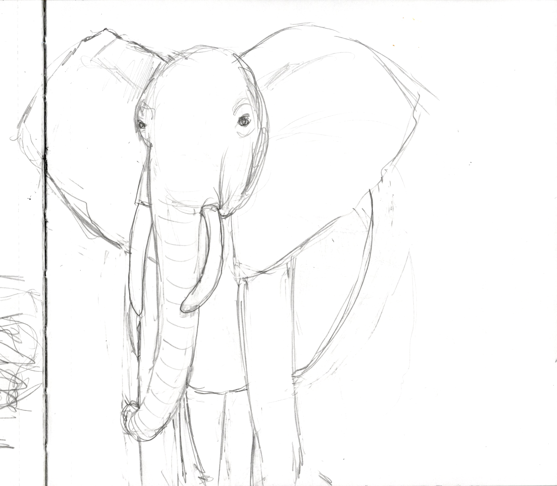Elephant Alone SB 300.jpg