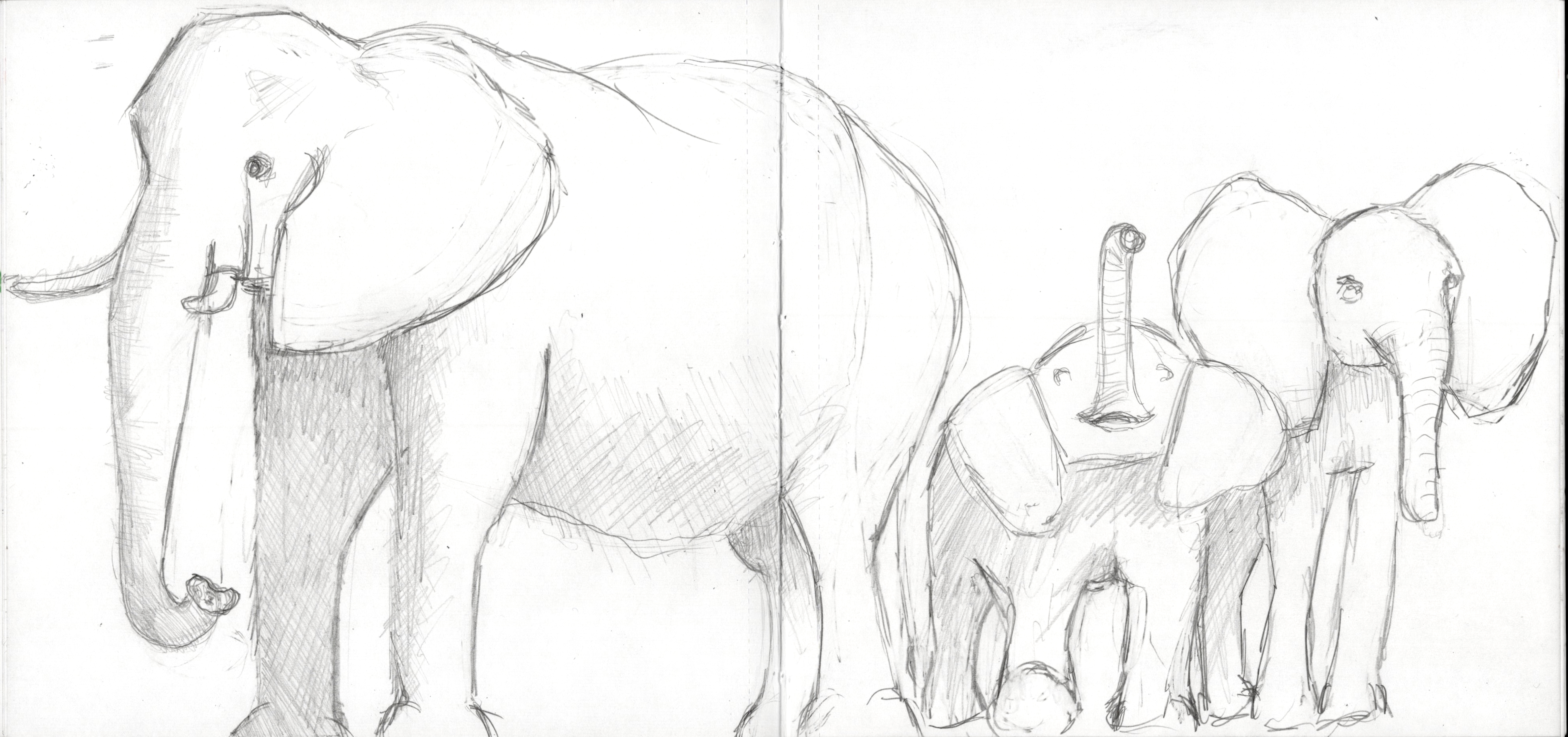 Elephant Family SB 300.jpg