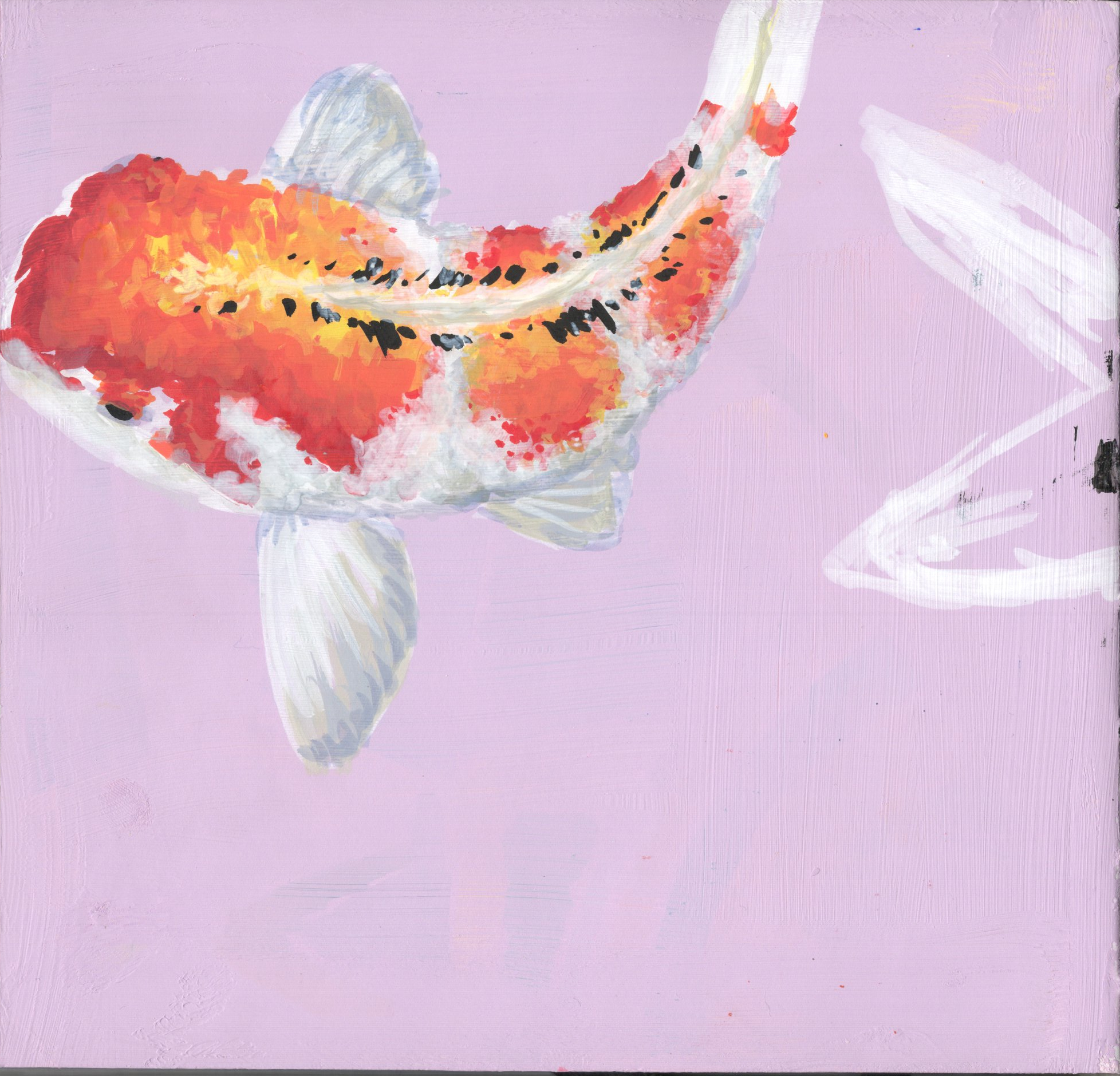 Firey Koi SB 300.jpg