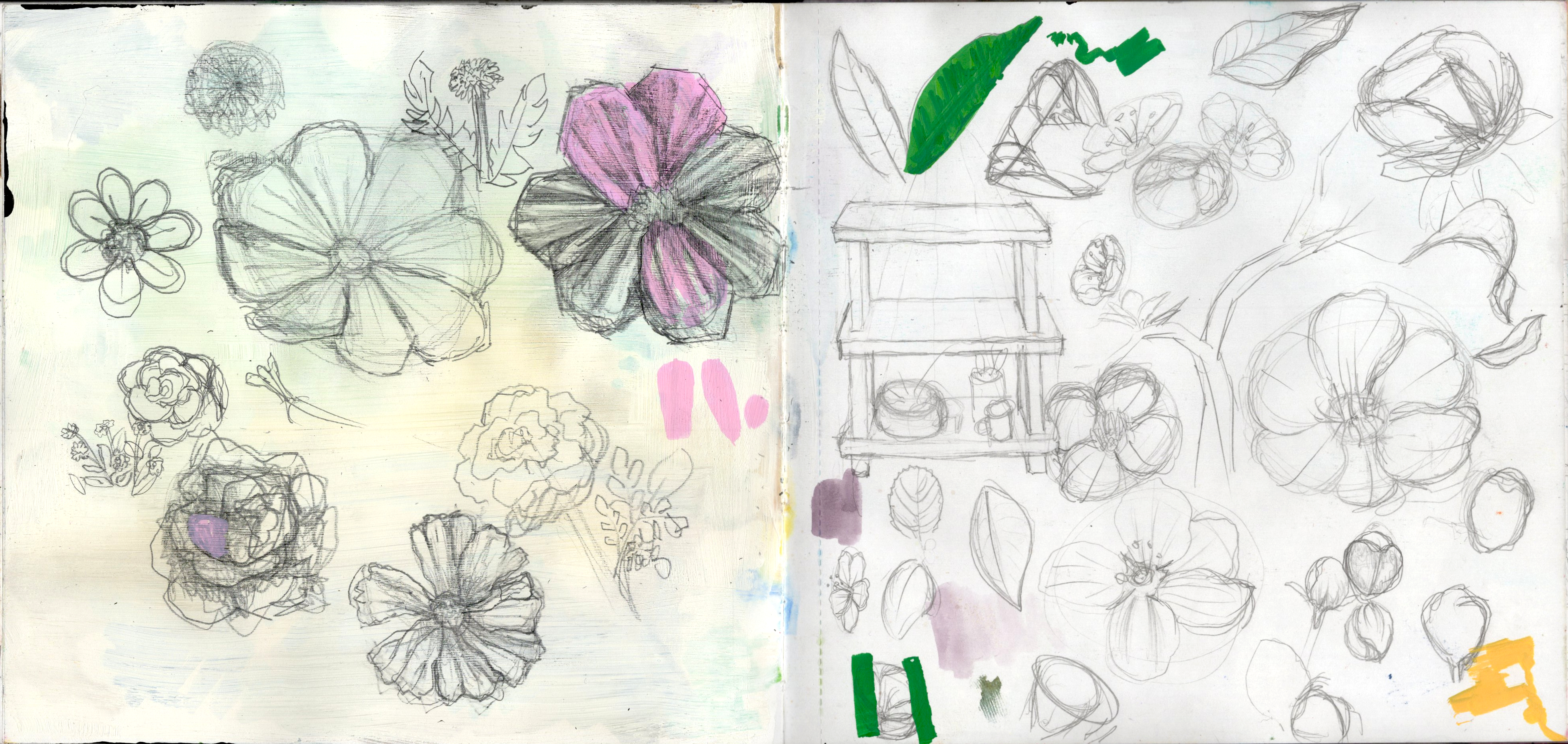 Flower Sketches SB 300.jpg