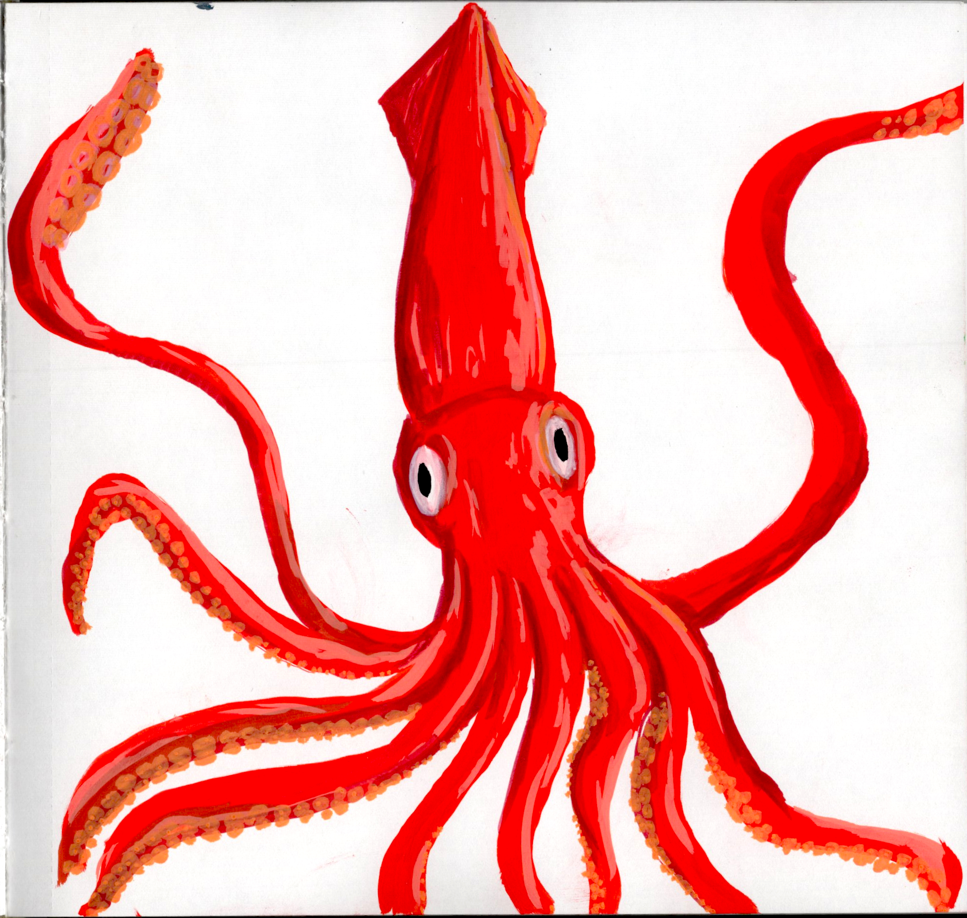 Friendly Squid SB 300.jpg