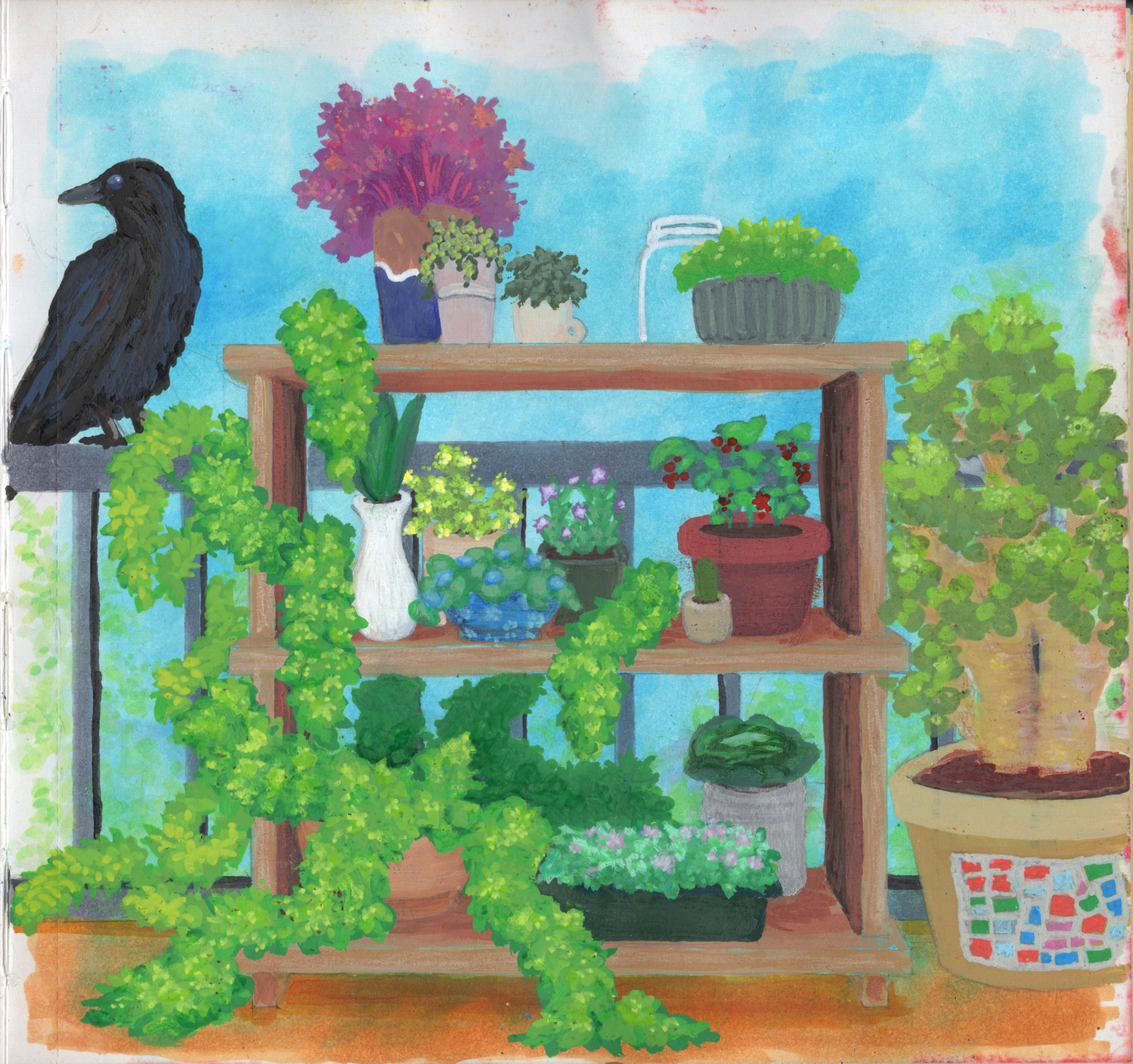 Plant Shelf SB 300.jpg