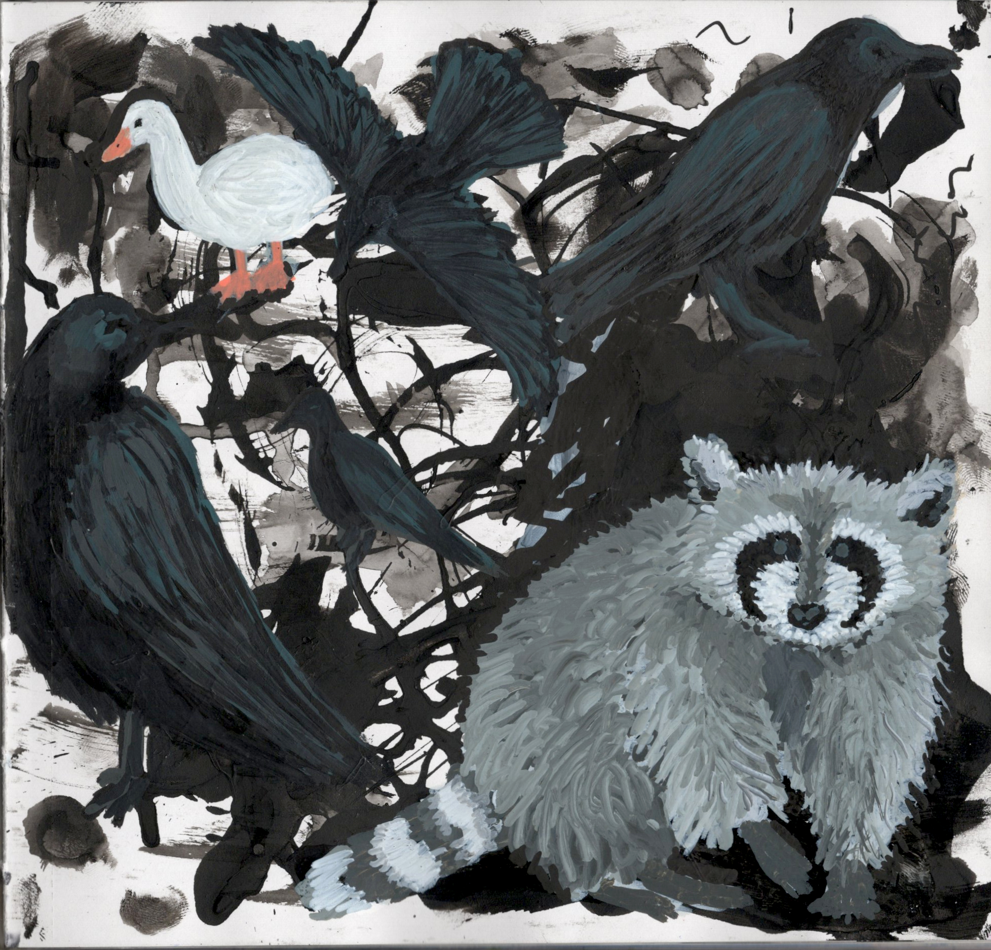 Scribble Crows SB 300.jpg