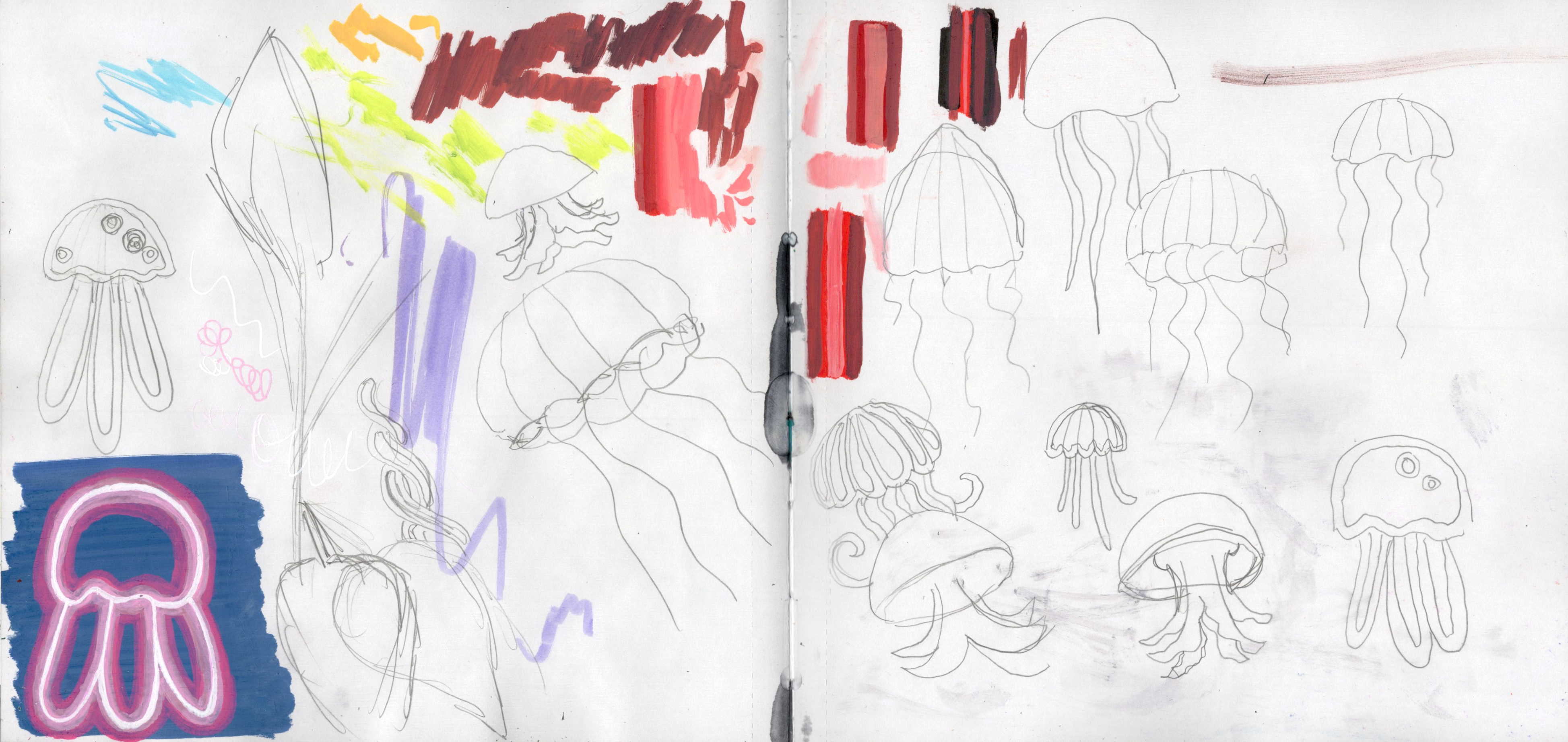 Squid Doodles SB 300.jpg