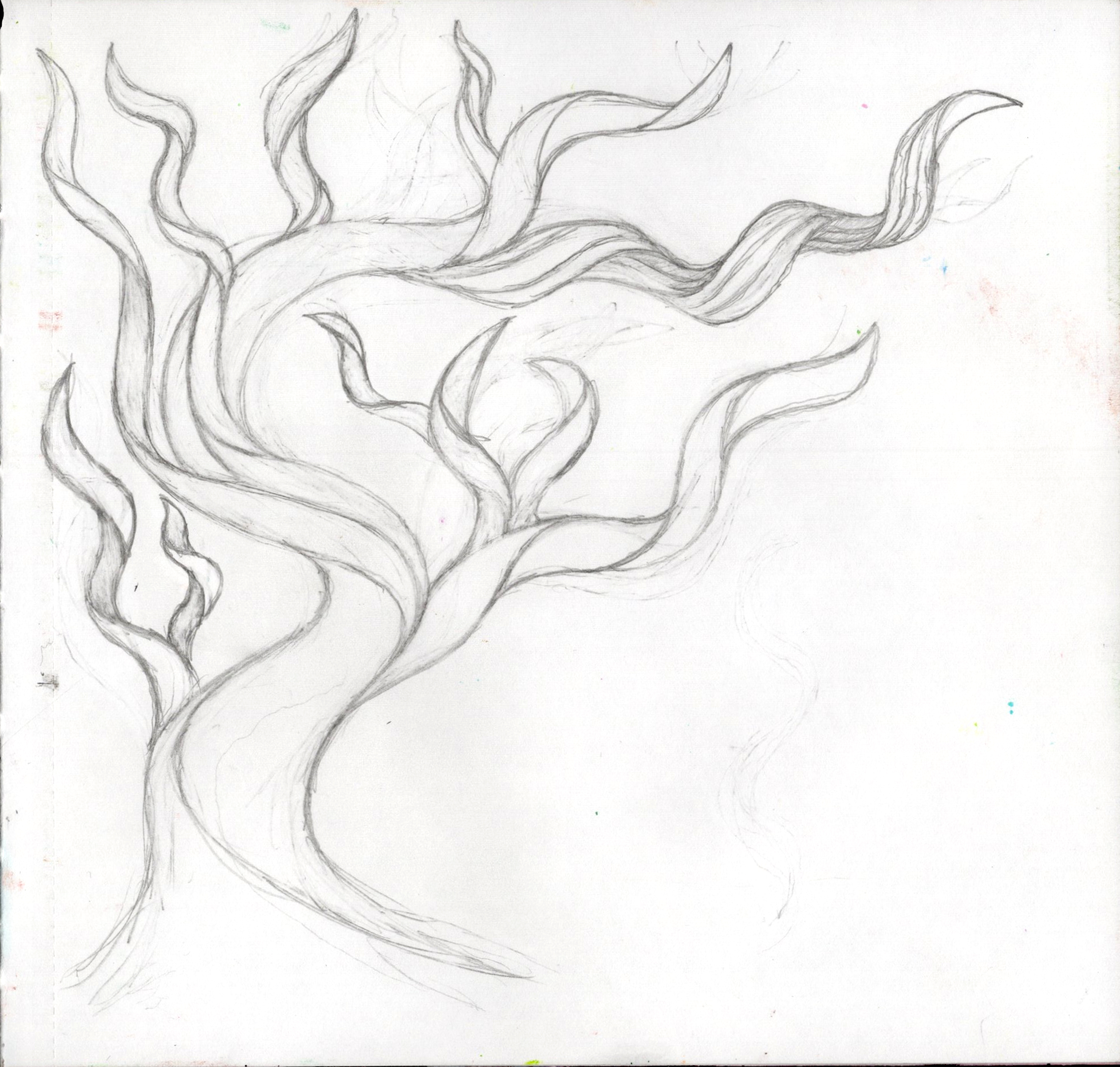 Twisted Tree SB 300.jpg