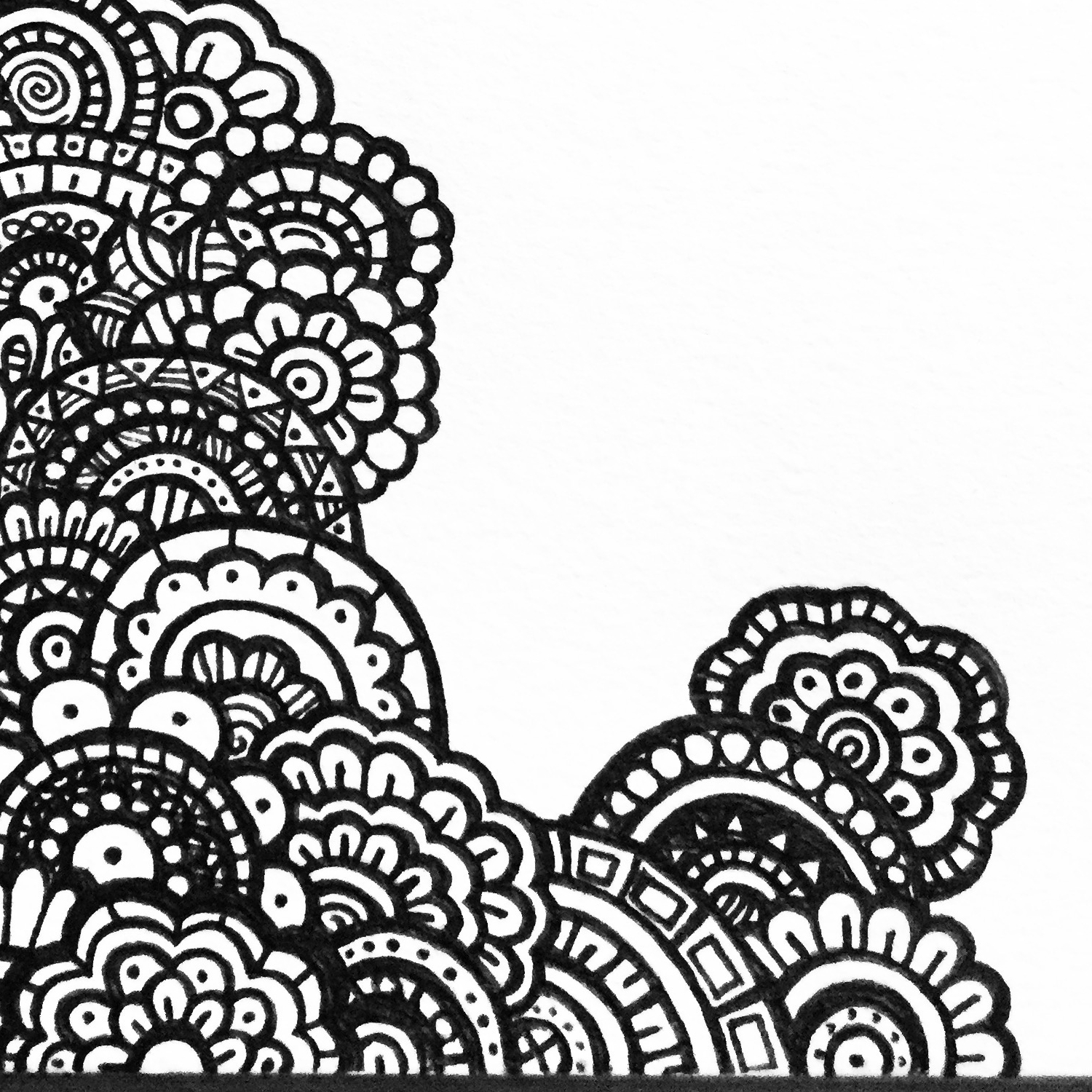 Organic6 1.jpgcenter300