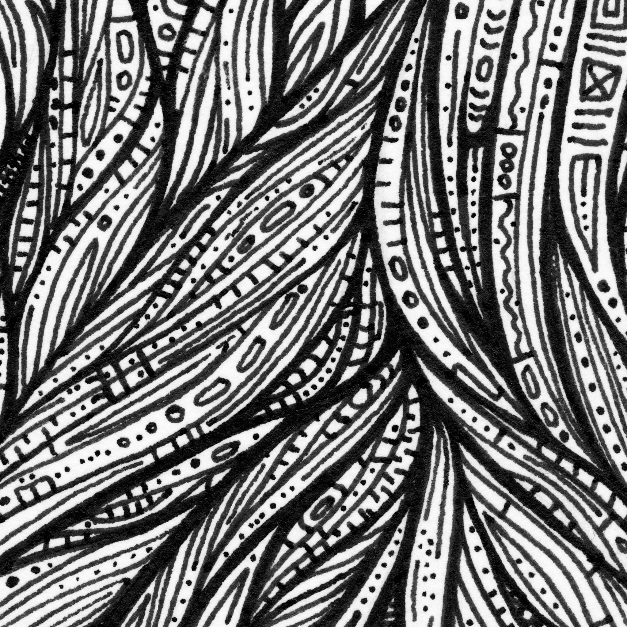 SynapticWeave1.jpgcenter300