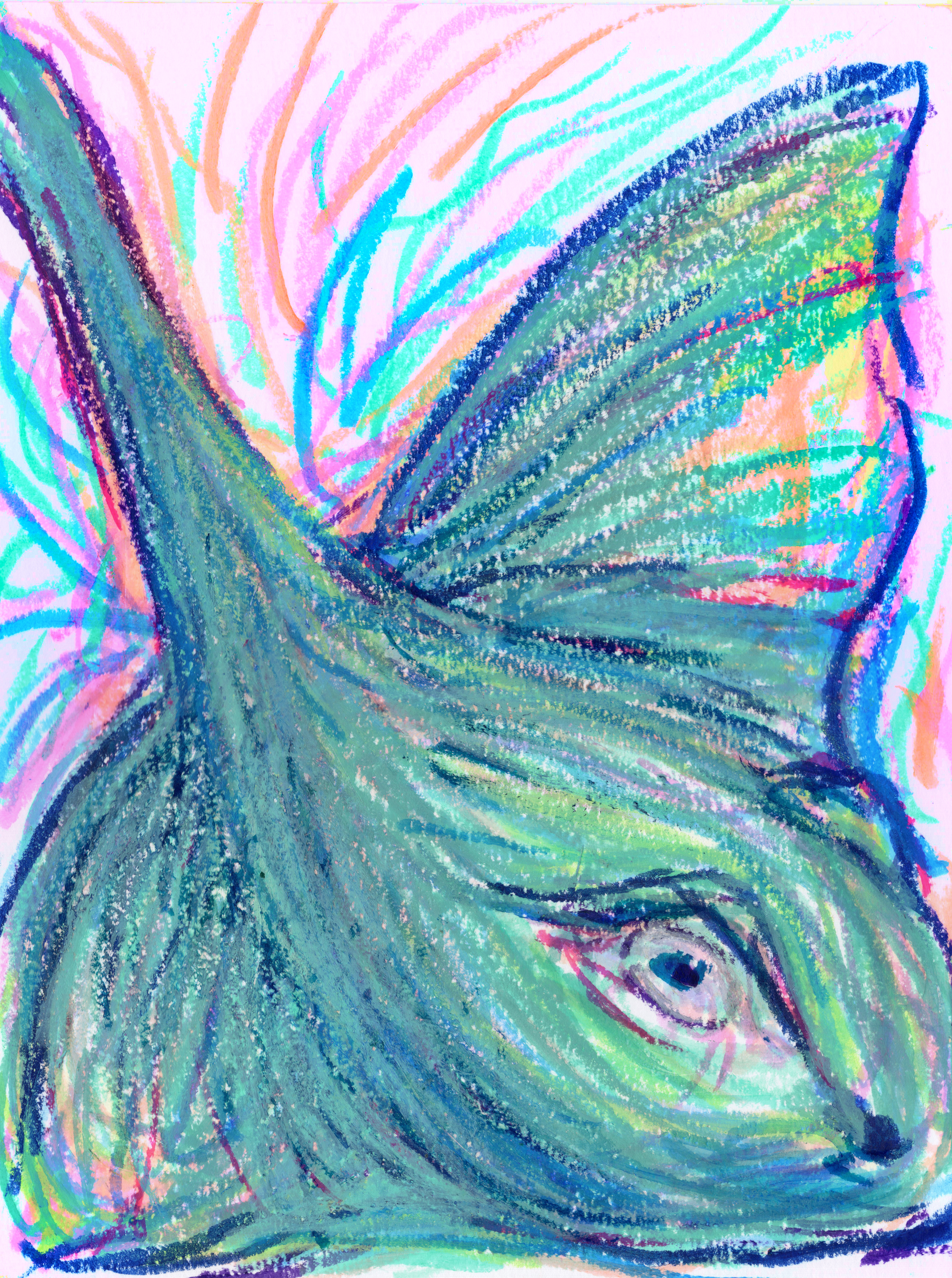 Stingray 300.jpg500