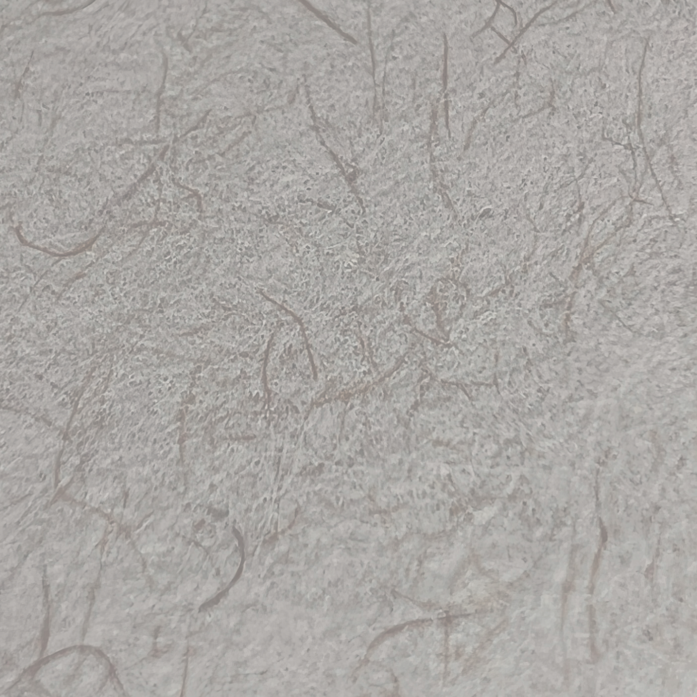 Strathmore Gray Toned.jpg