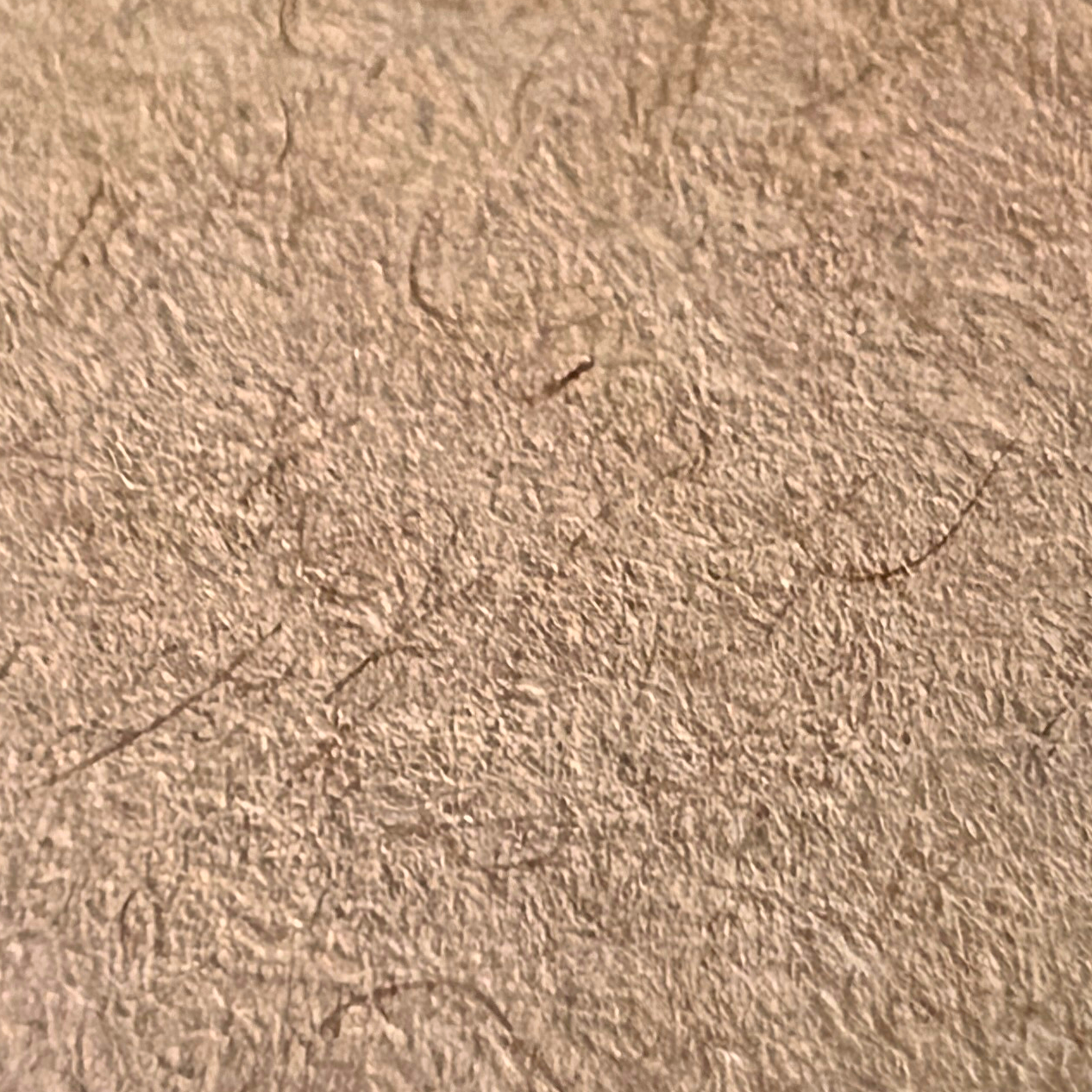 Strathmore Tan Toned.jpg