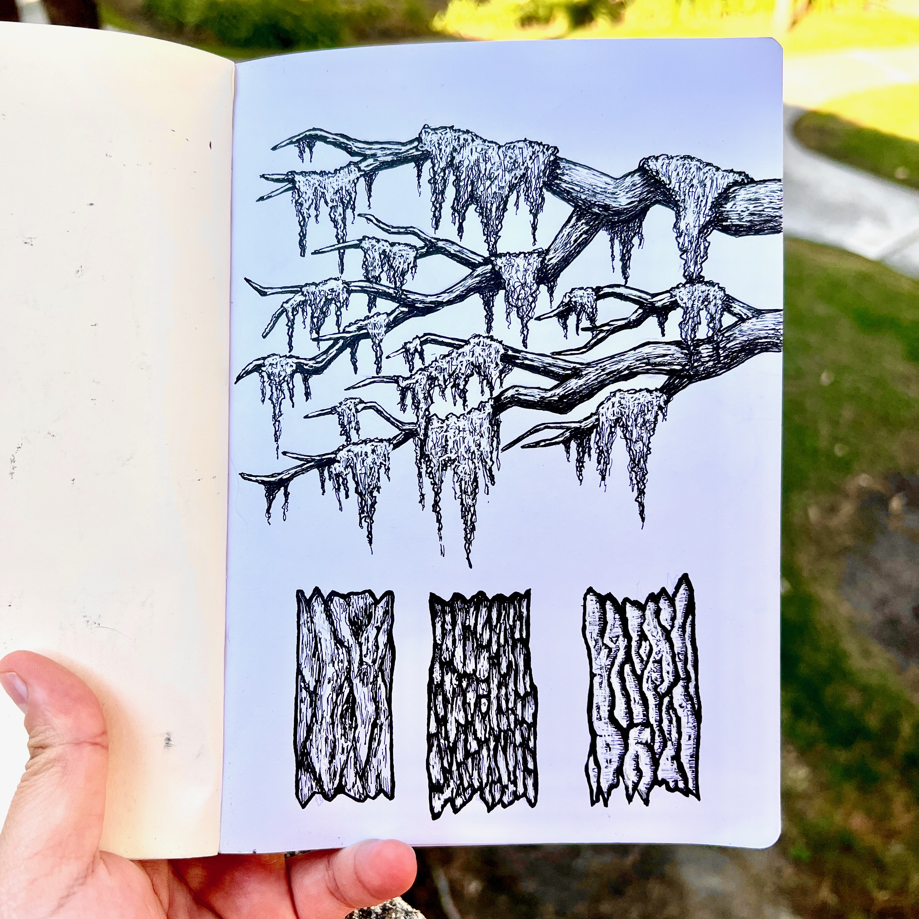 Tree Bark.jpeg