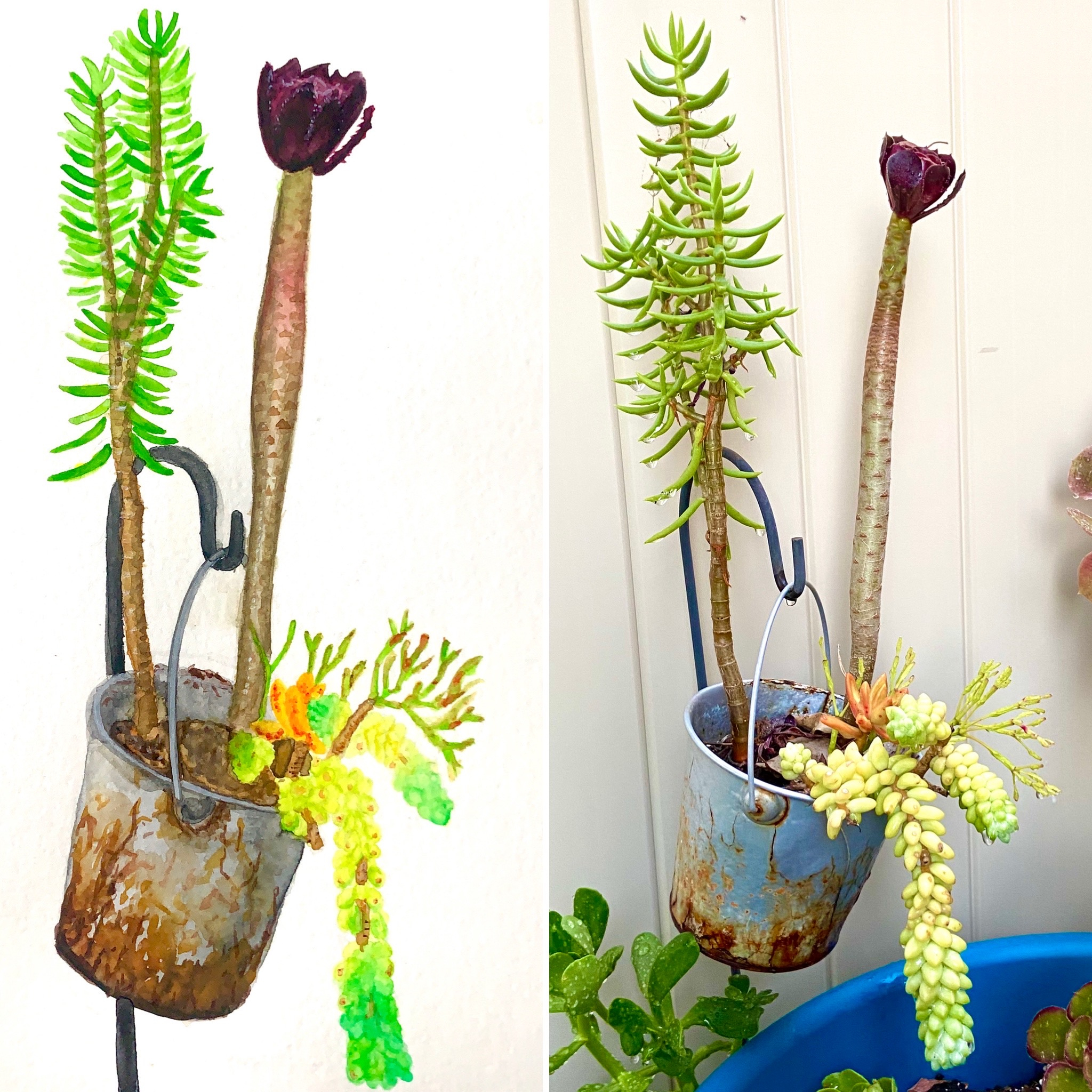 Watercolor Plants Bucket.jpg